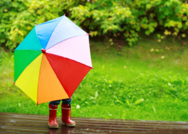 umbrella