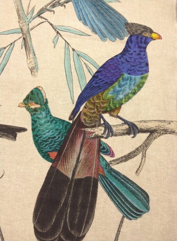 Aviary Illustration Brilliant Birds Hand Print On Linen Home