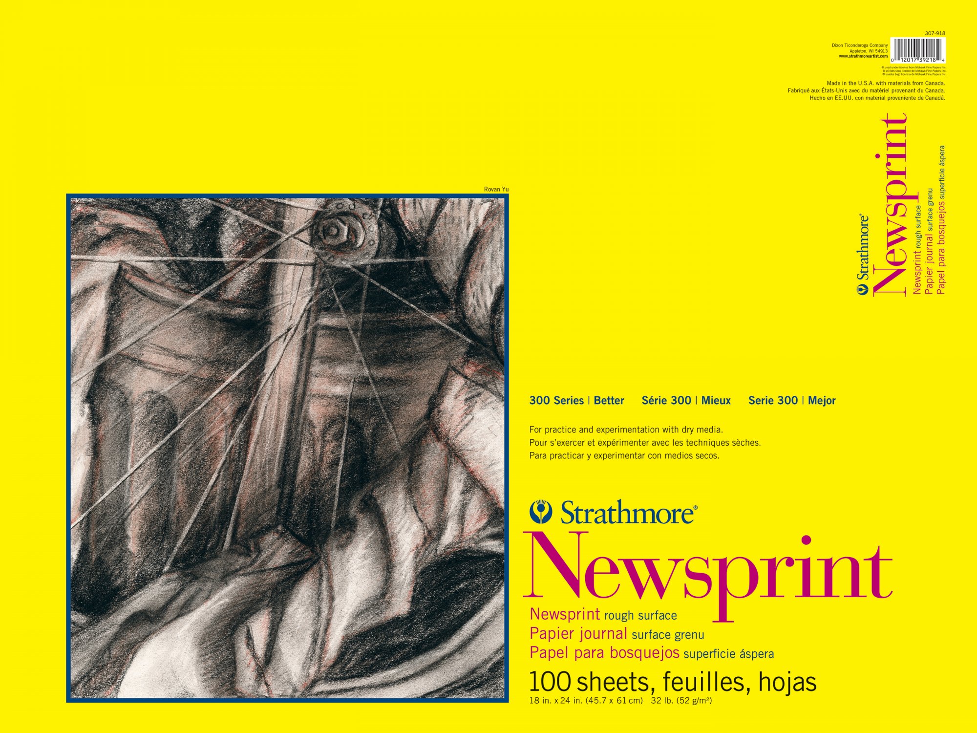 NEWSPRINT 300 ROUGH 18X24 TAPE BOUND 100 SHEETS - 012017392184
