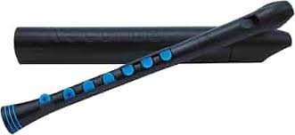 Nuvo Recorder+ Baroque Fingering w Hard Case Black/Blue N320RDBBLB