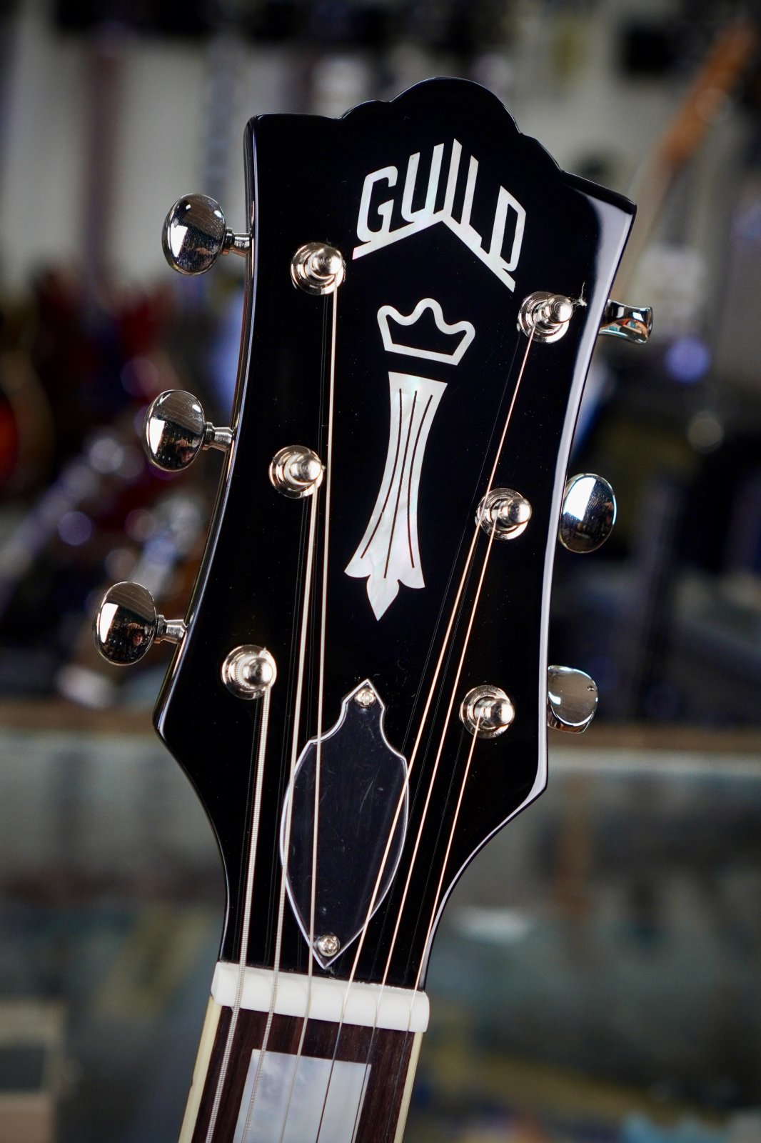◆naosandesu◆ Guild S-100 Polara Black Newark Street Collection (new