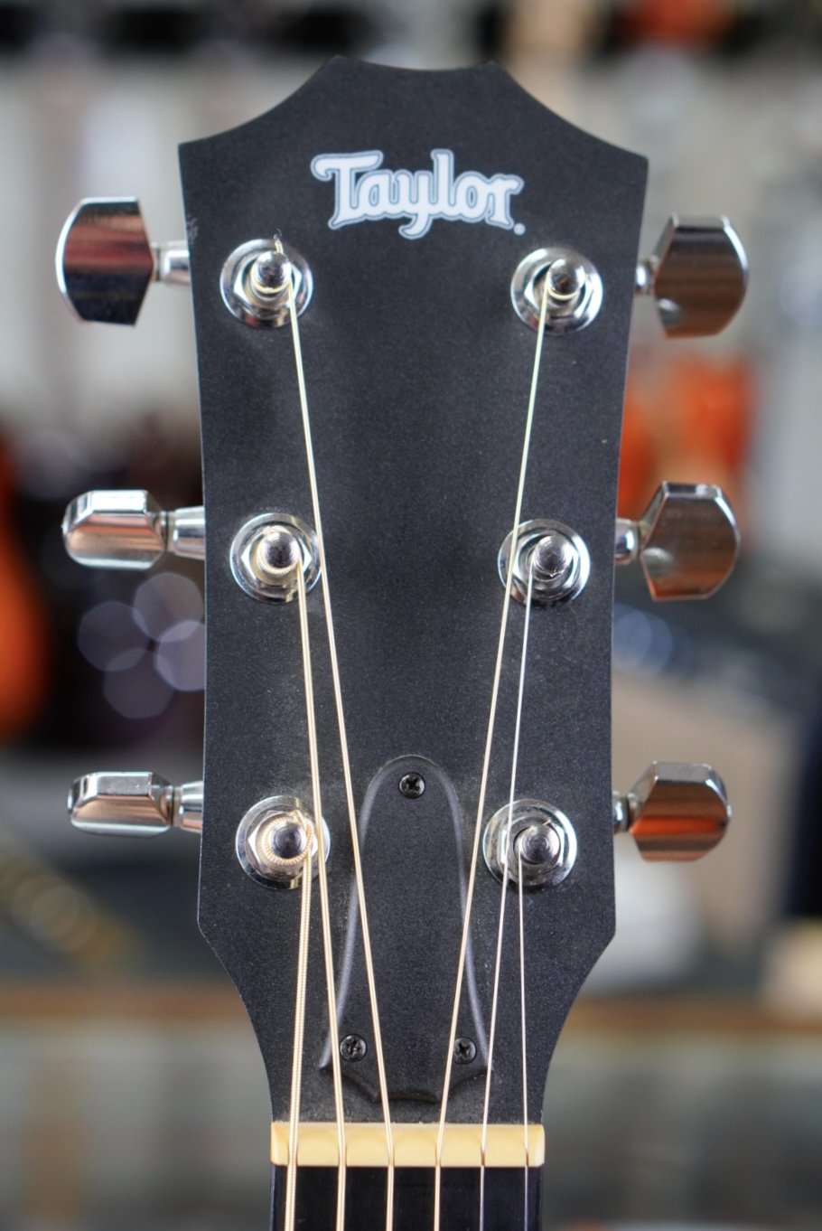 2006 Taylor 110 Dreadnought