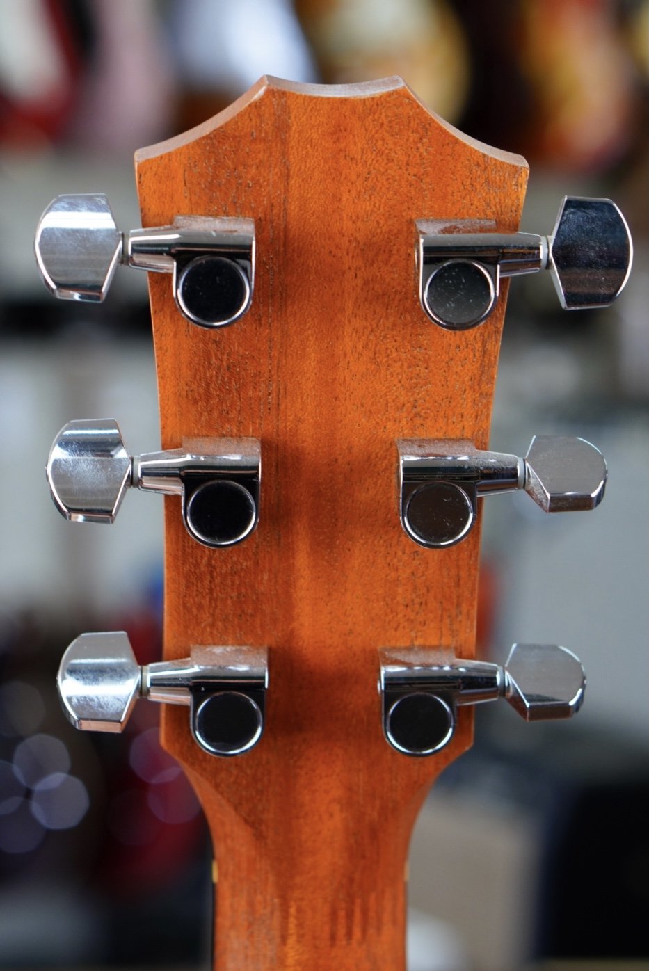 Acoustic Guitar Taylor No. 110 Natural Color SN 20060123811