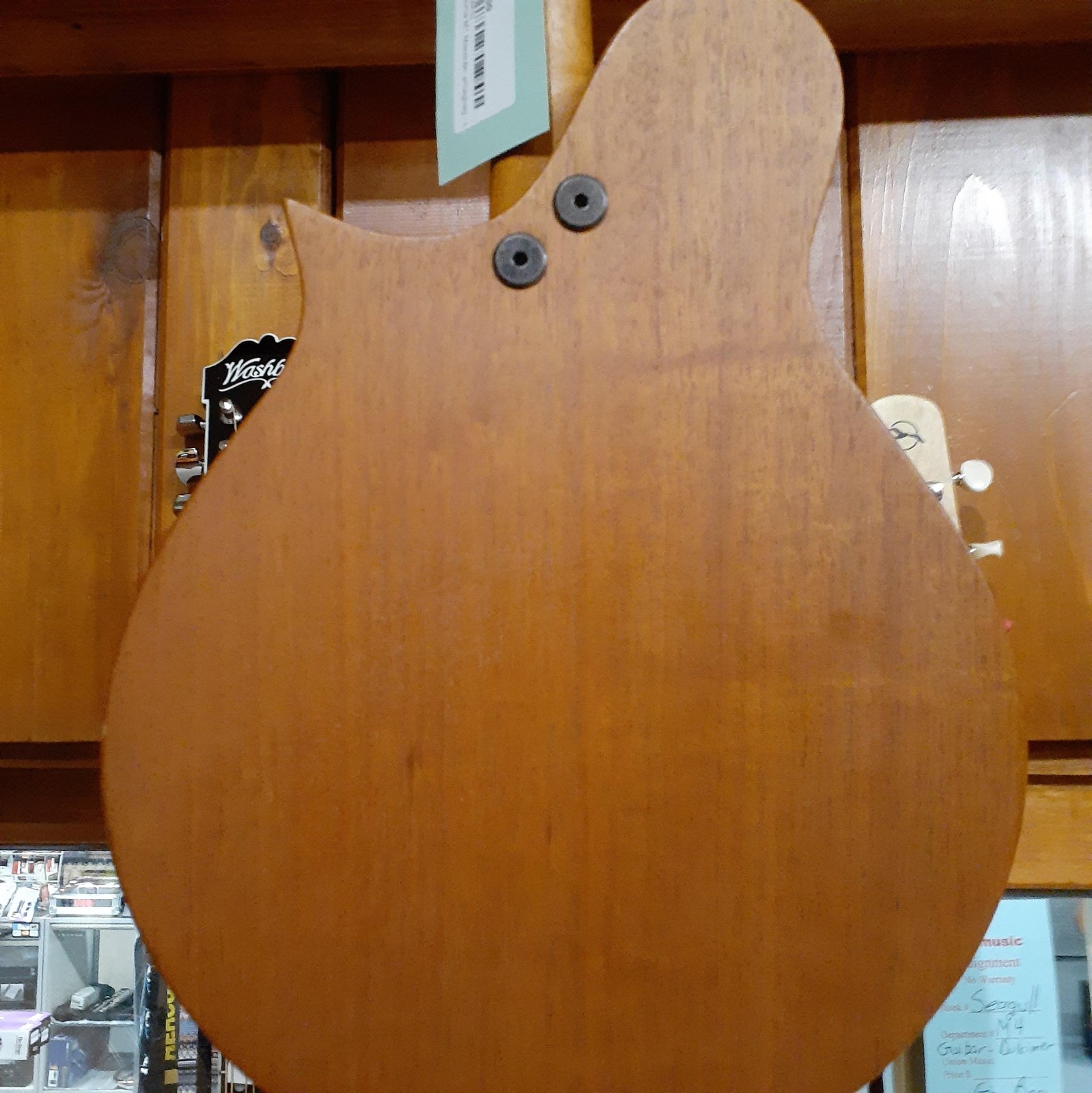 Tacoma M1 Mandolin w/Gigbag - USED