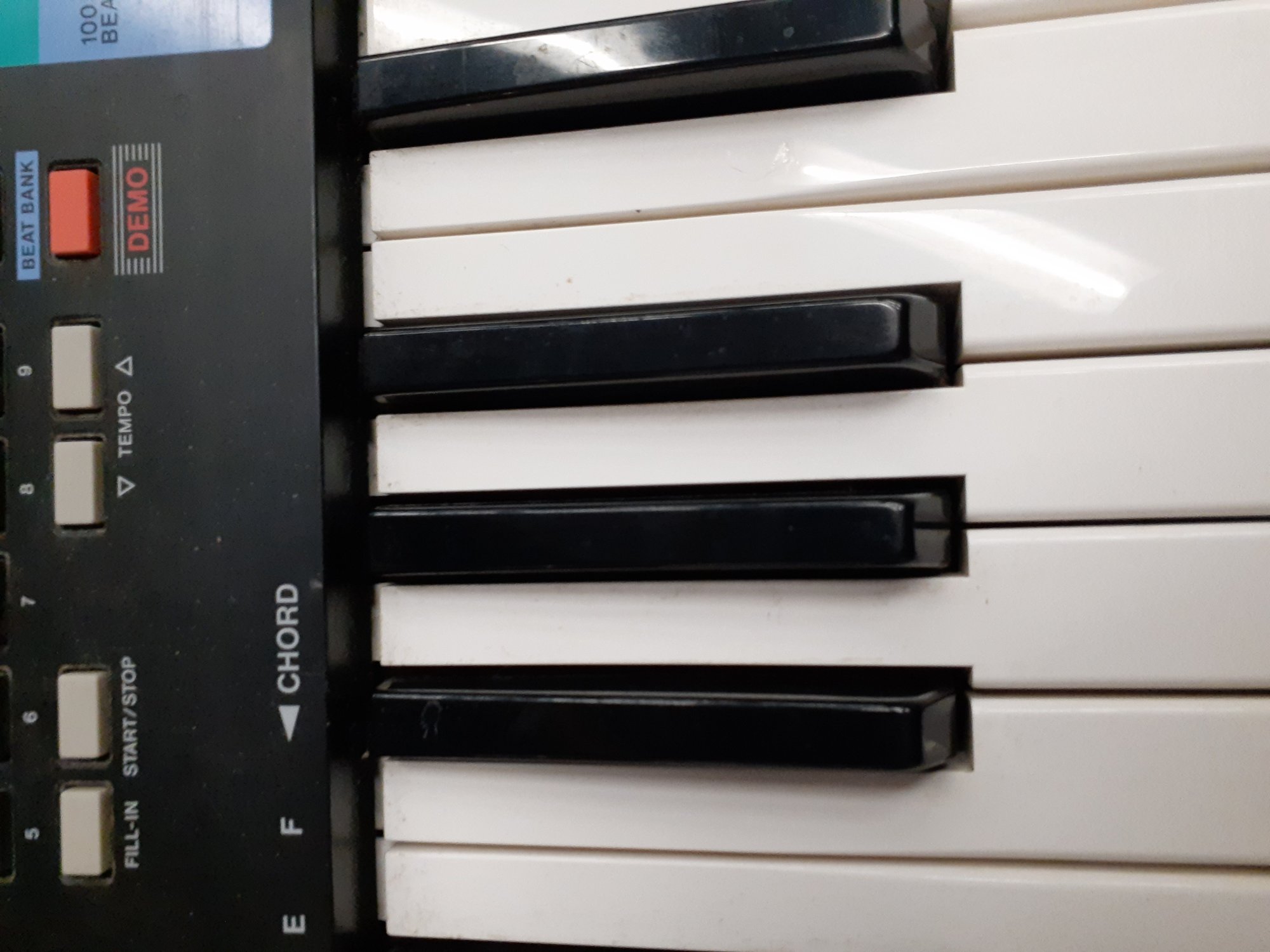 Casio CA-100 Tone Bank Keyboard - USED