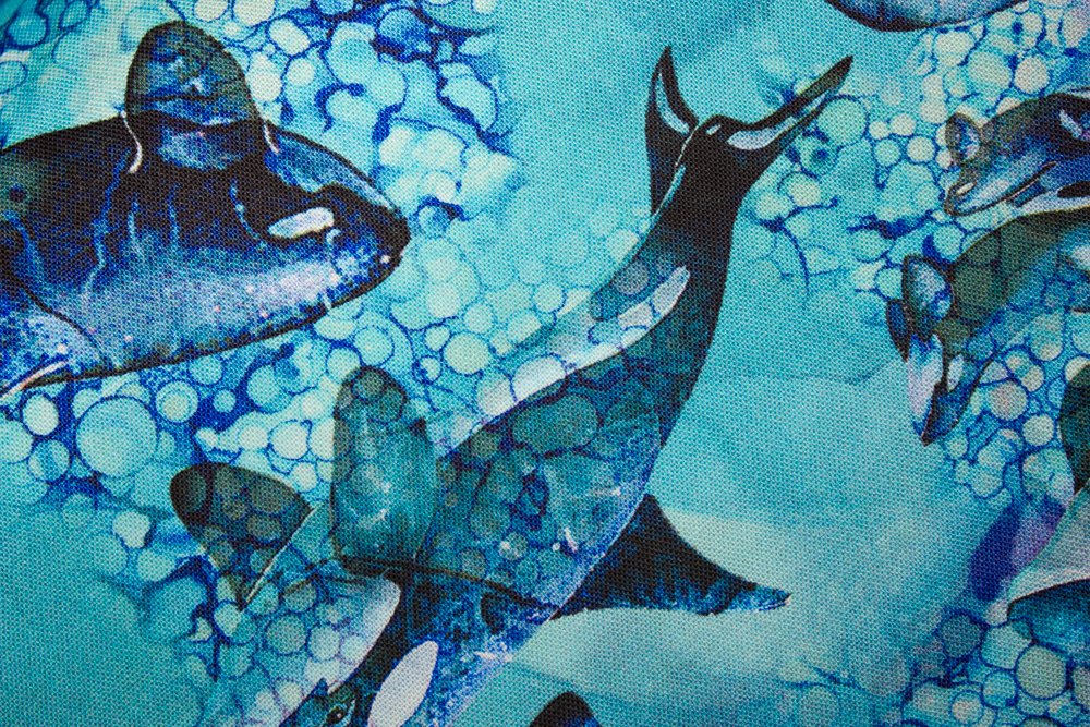 Whale Song By Deborah Edwards, Melanie Samra & Jody Bergsma