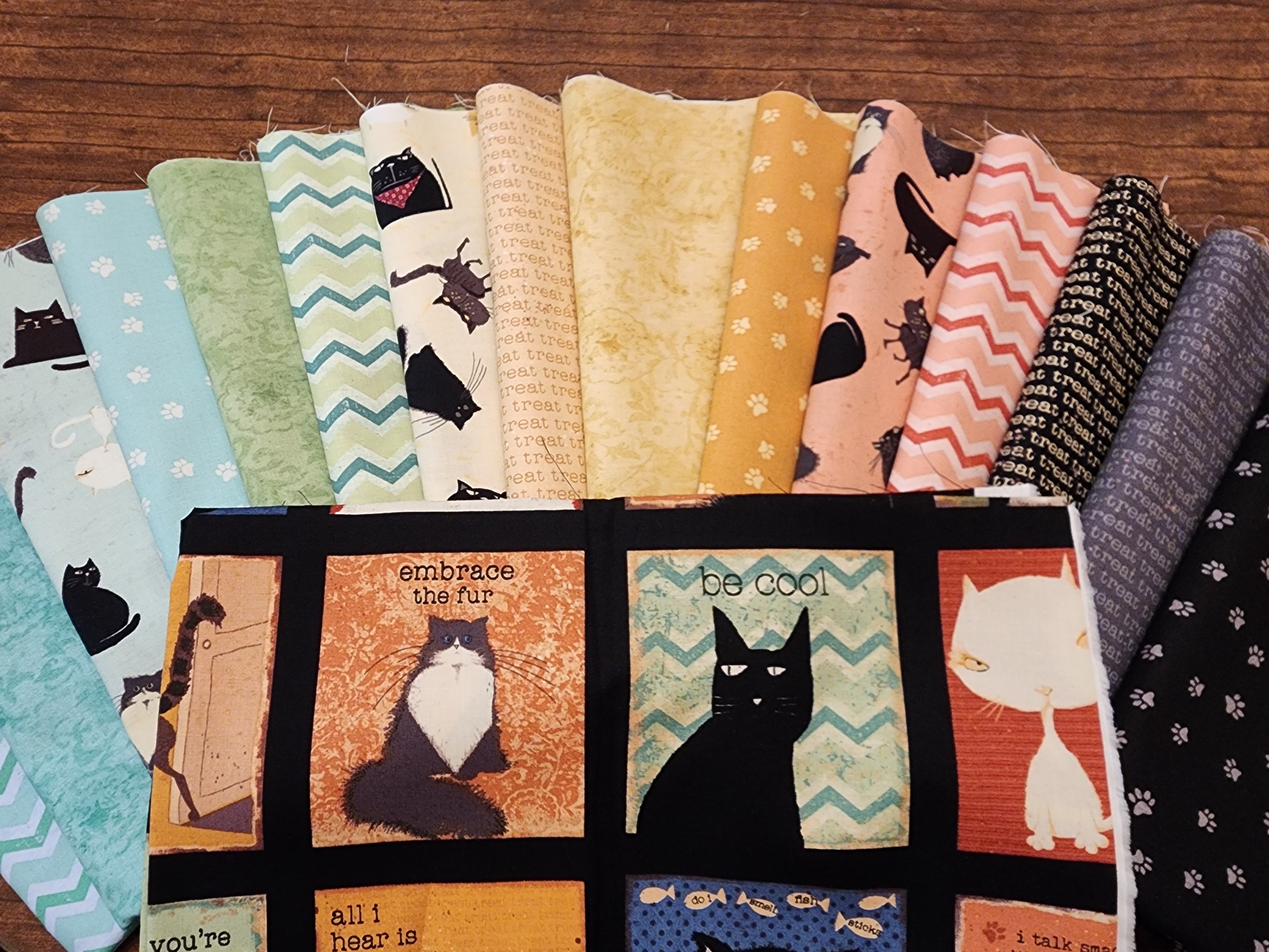 Snarky Cats by Dan DiPaolo for Clothworks- 15 Piece Half Yards Plus Dark Sashing Panel Bundle Pack