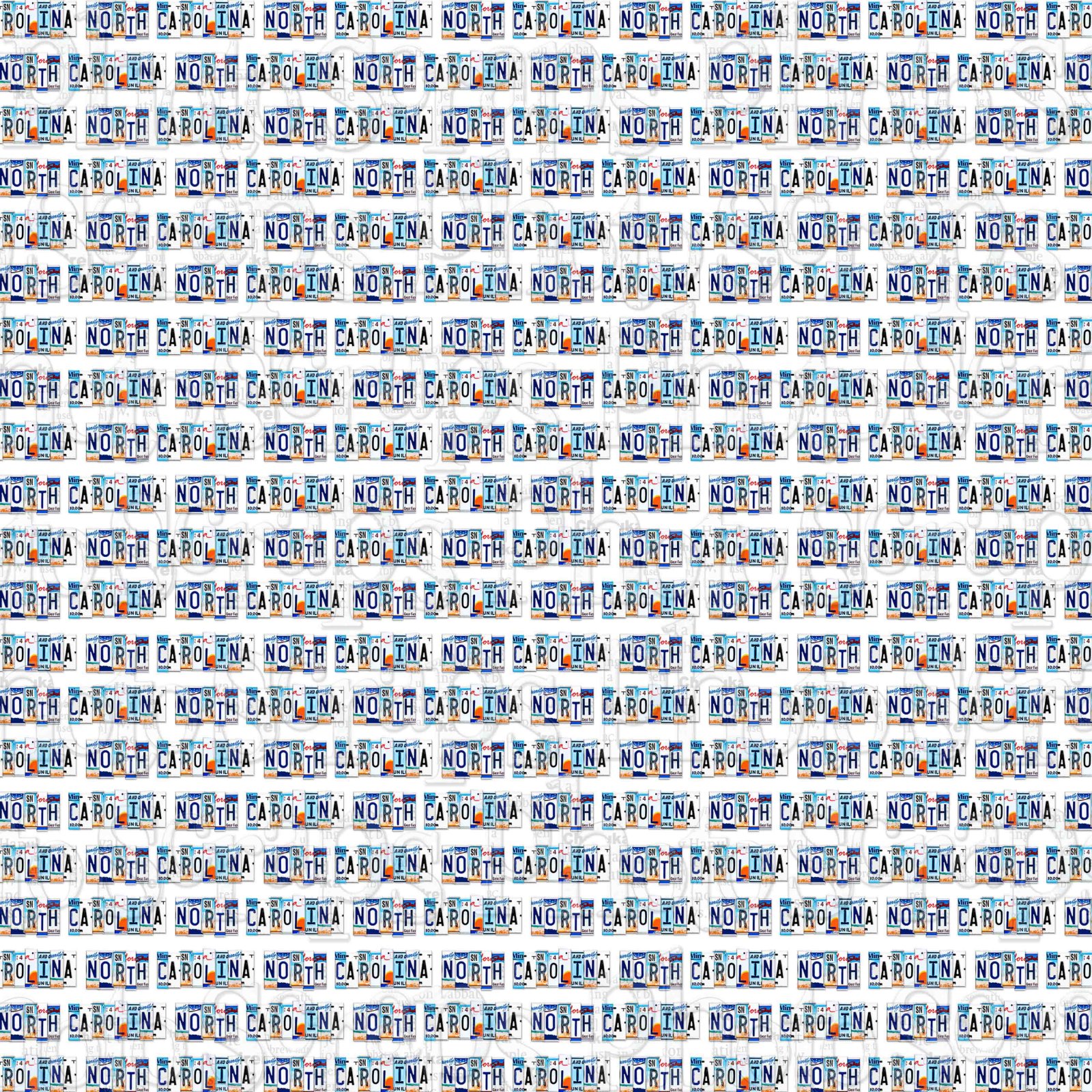 Top 90+ Images North Carolina Dmv License Plate Agency Photos Latest