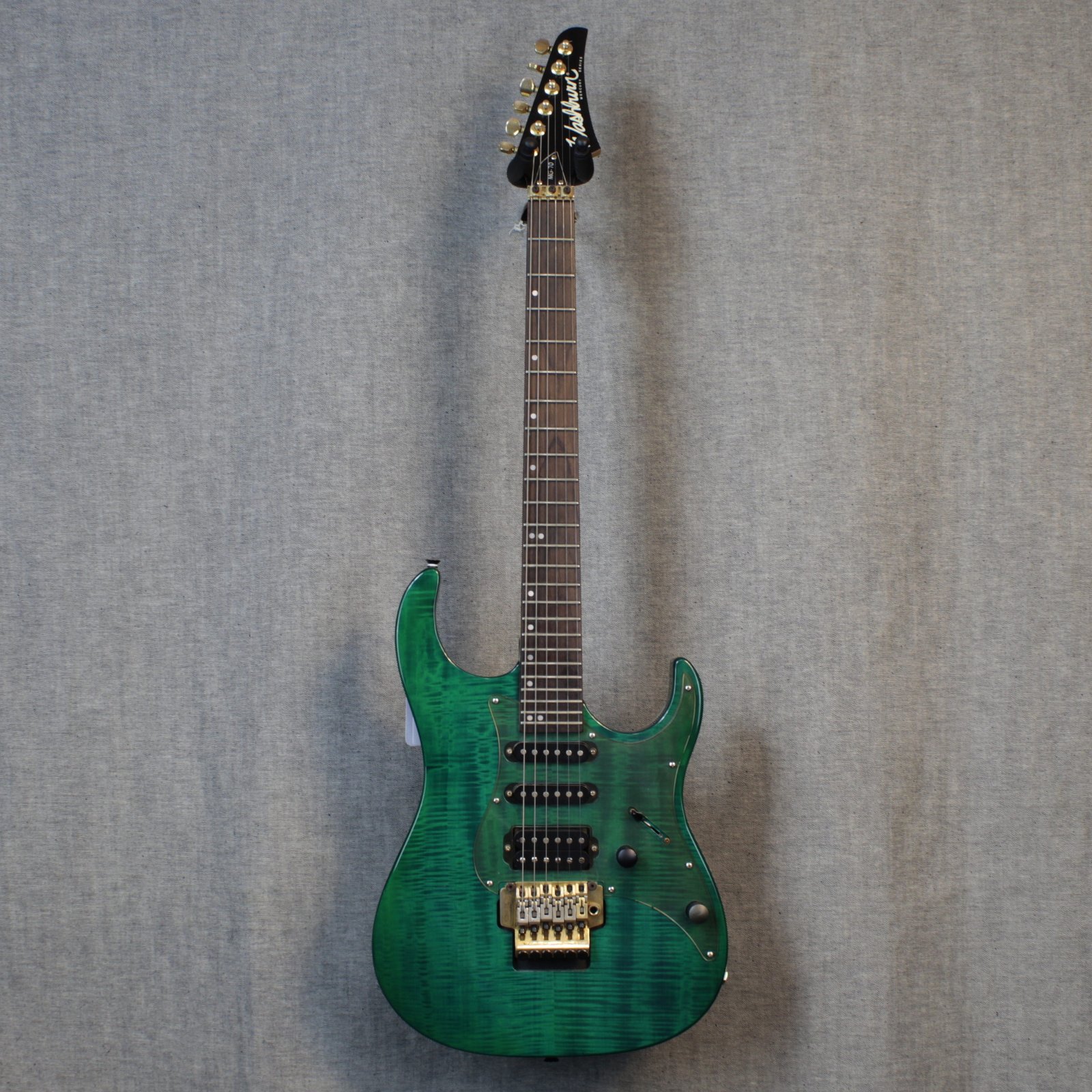Washburn MG-70 (USED)