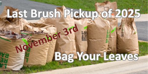 Bag your leaves