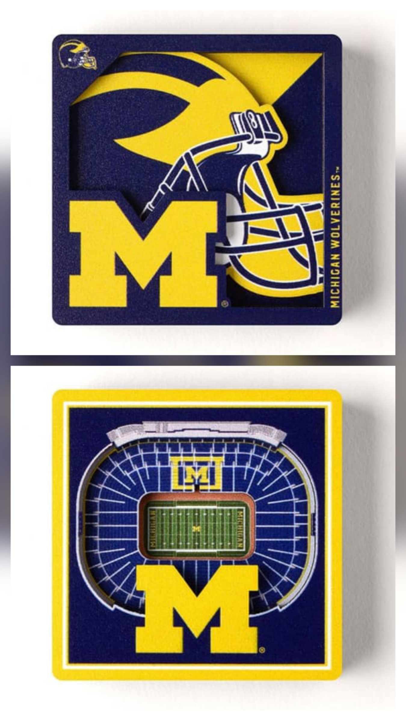 U of M Wolverines You The Fan 3D Stadium View or Logo Series Magnet