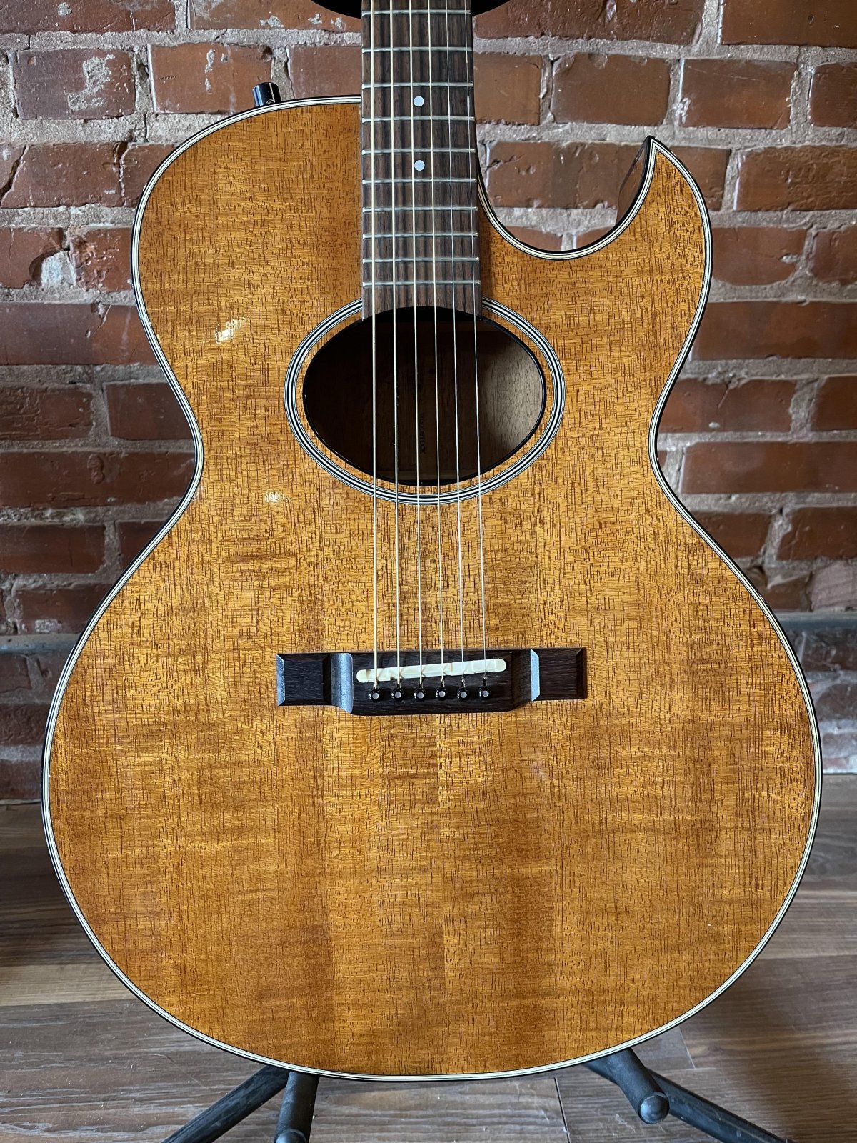 Washburn Woodstock with case