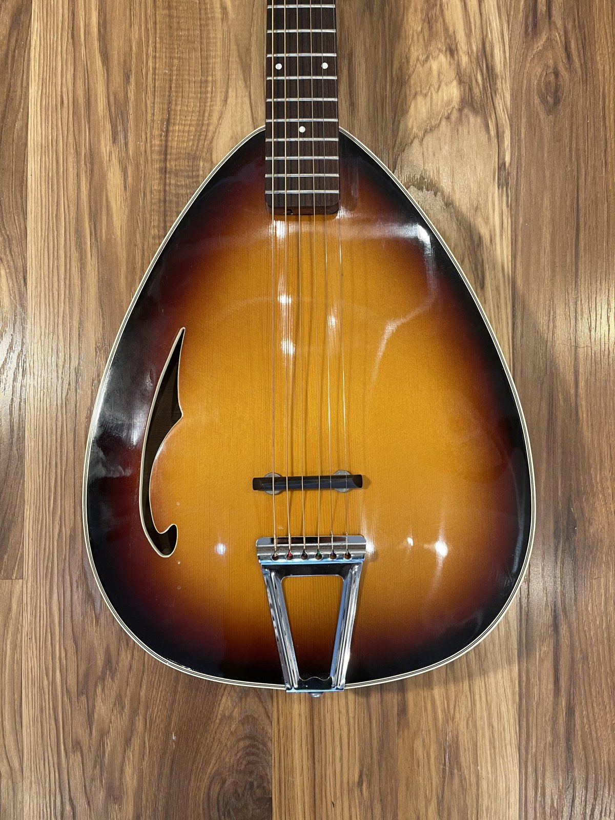Danelectro Coral Acoustic Teardrop