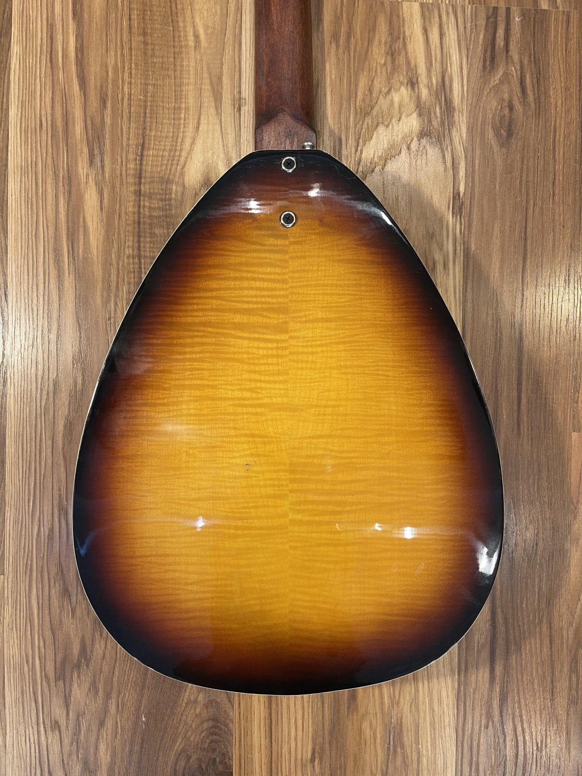 Danelectro Coral Acoustic Teardrop