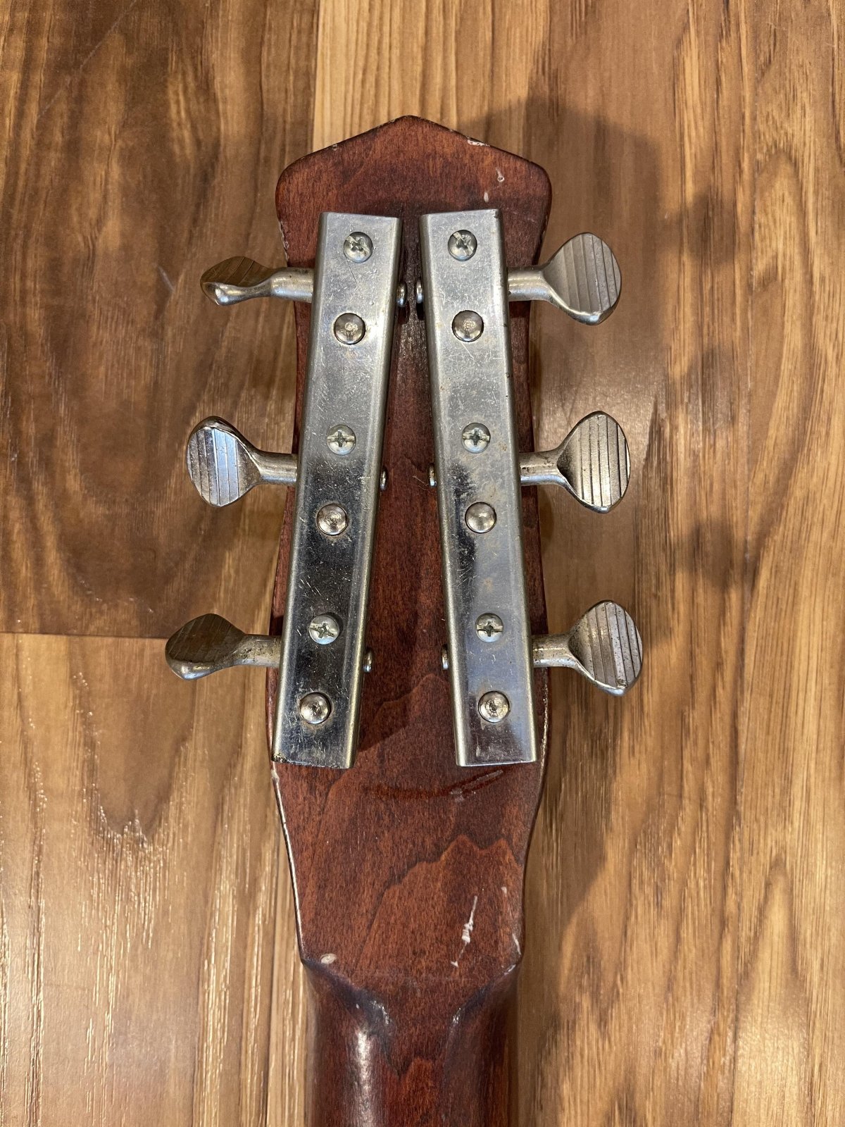 Danelectro Coral Acoustic Teardrop