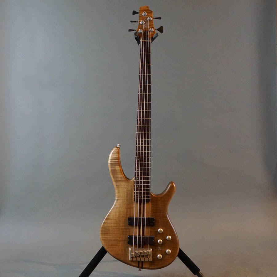 投げ売り】Cort A5 投げ売り】Cort A5