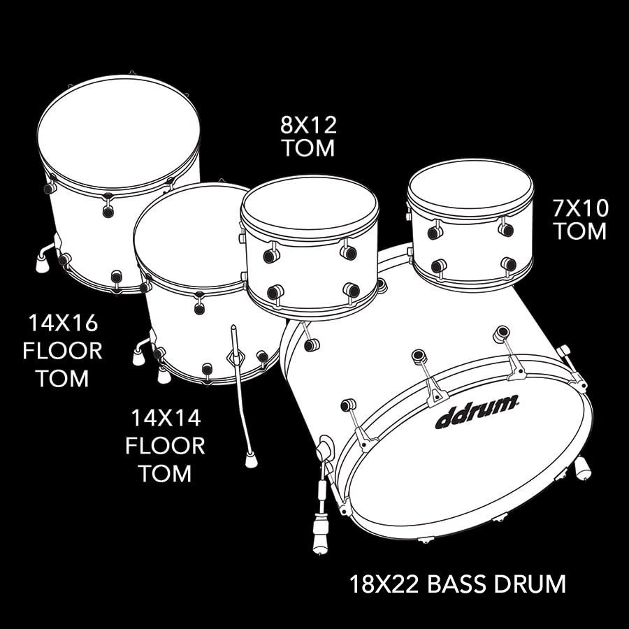 DDrum Dios 522 3pc Maple Shell Pack - Exotic Zebra Wood 10