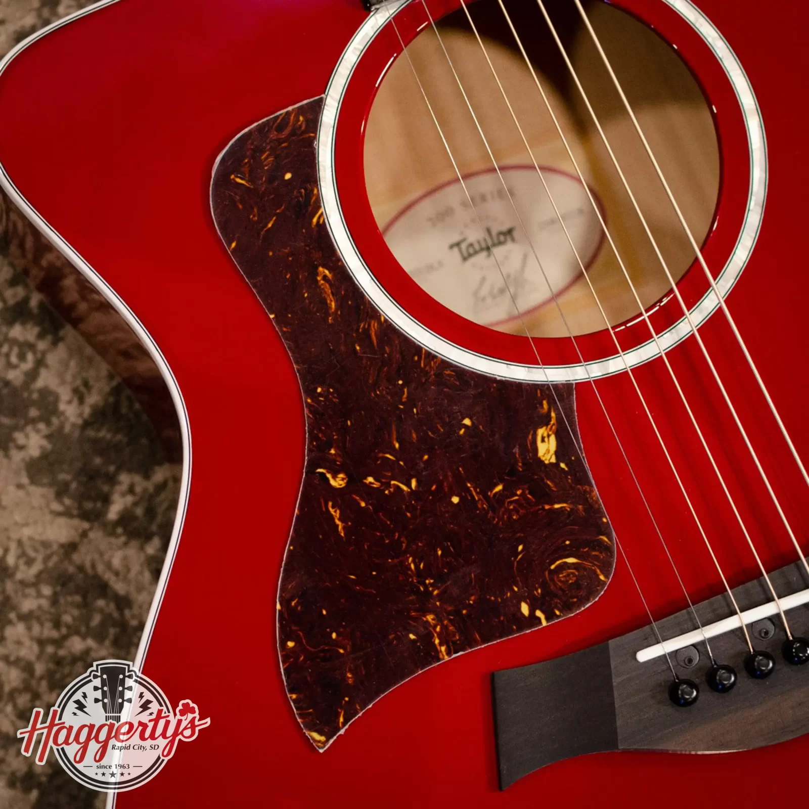 Taylor Pickguard Left Handed, GA/GS 5, Tortoise - 841060087453
