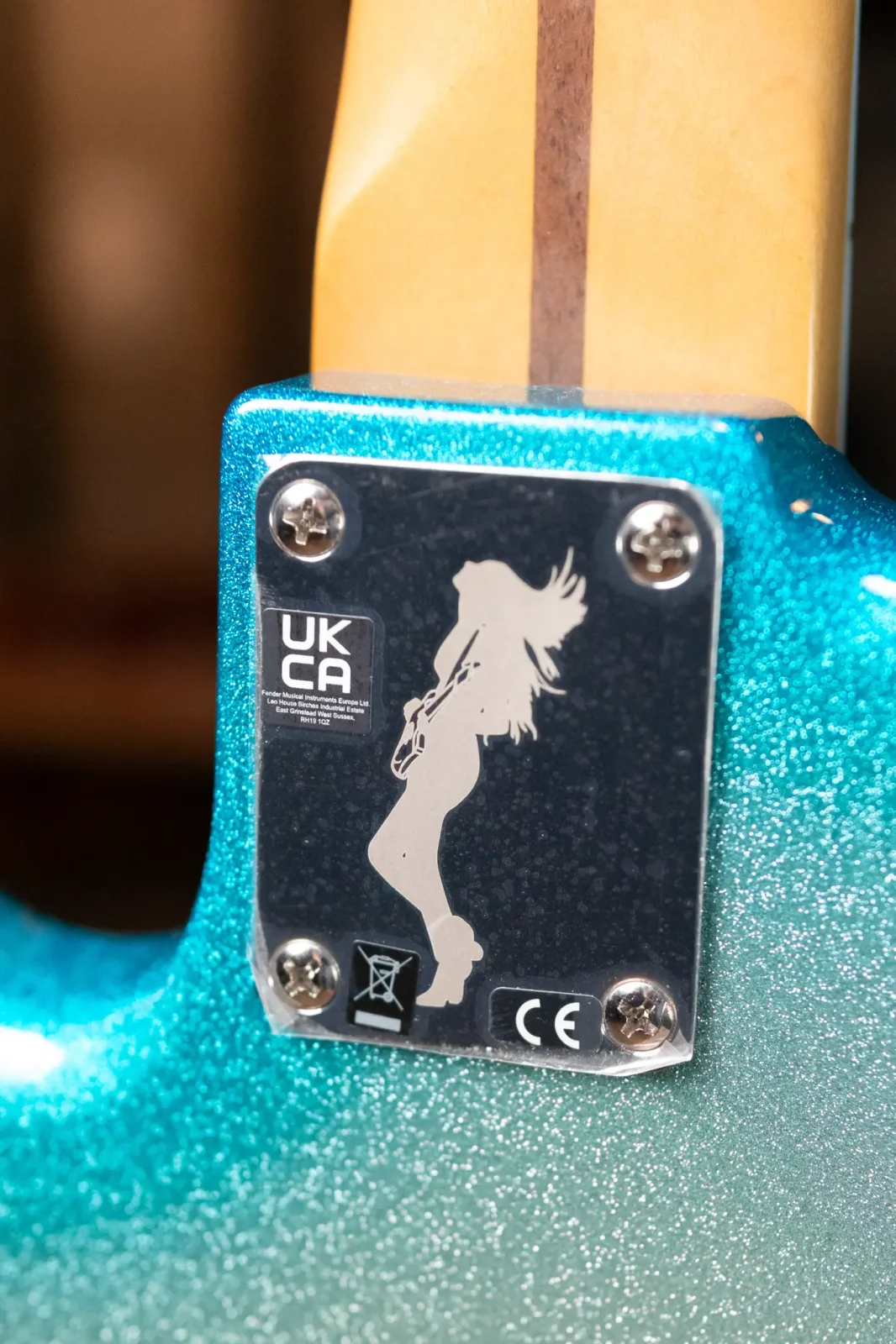 Fender Limited Player Plus X Blu Detiger Jazz Bass - Sky