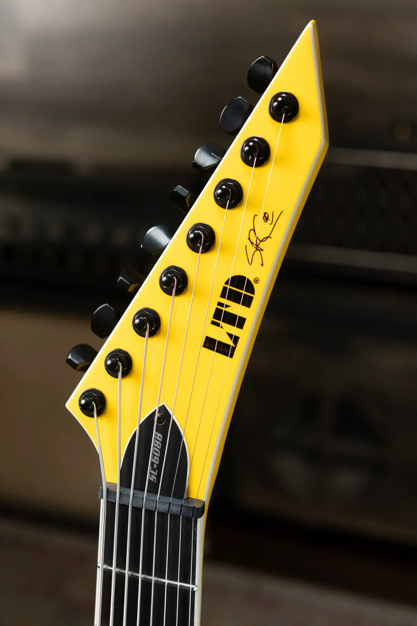 ESP LTD Stephen Carpenter SC-608 Signature 8-string Baritone