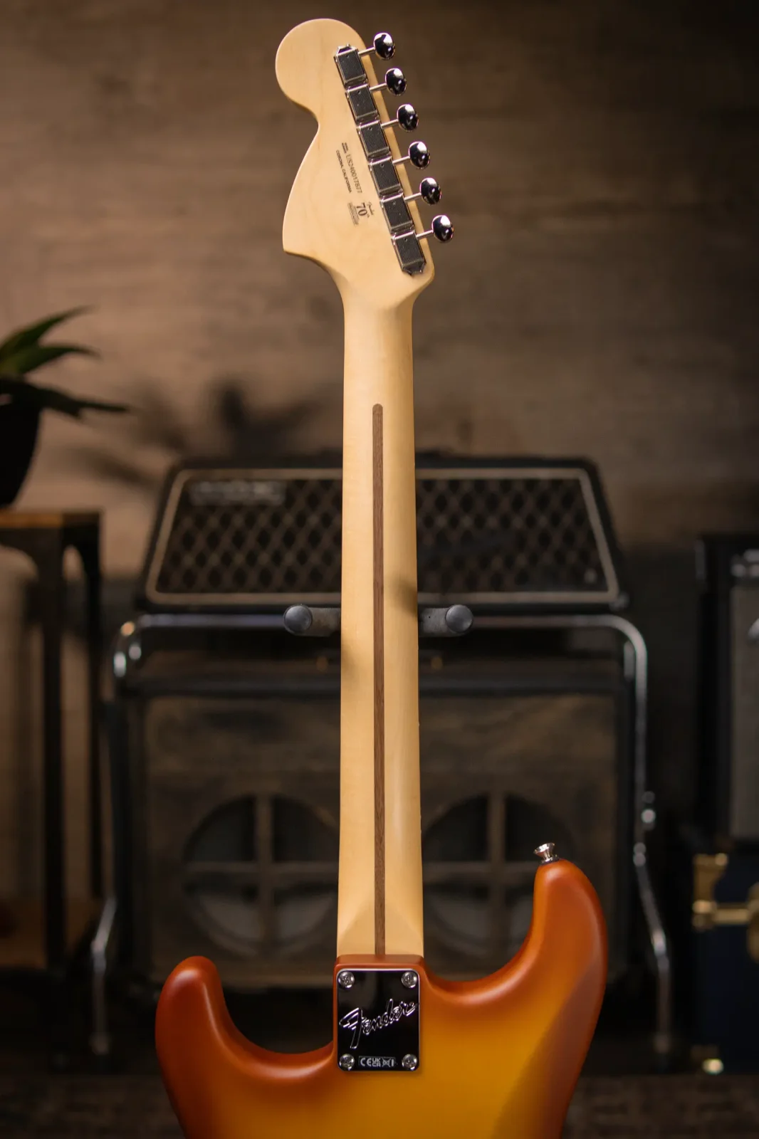 New_6_8_lbs_Fender_Limited_Edi