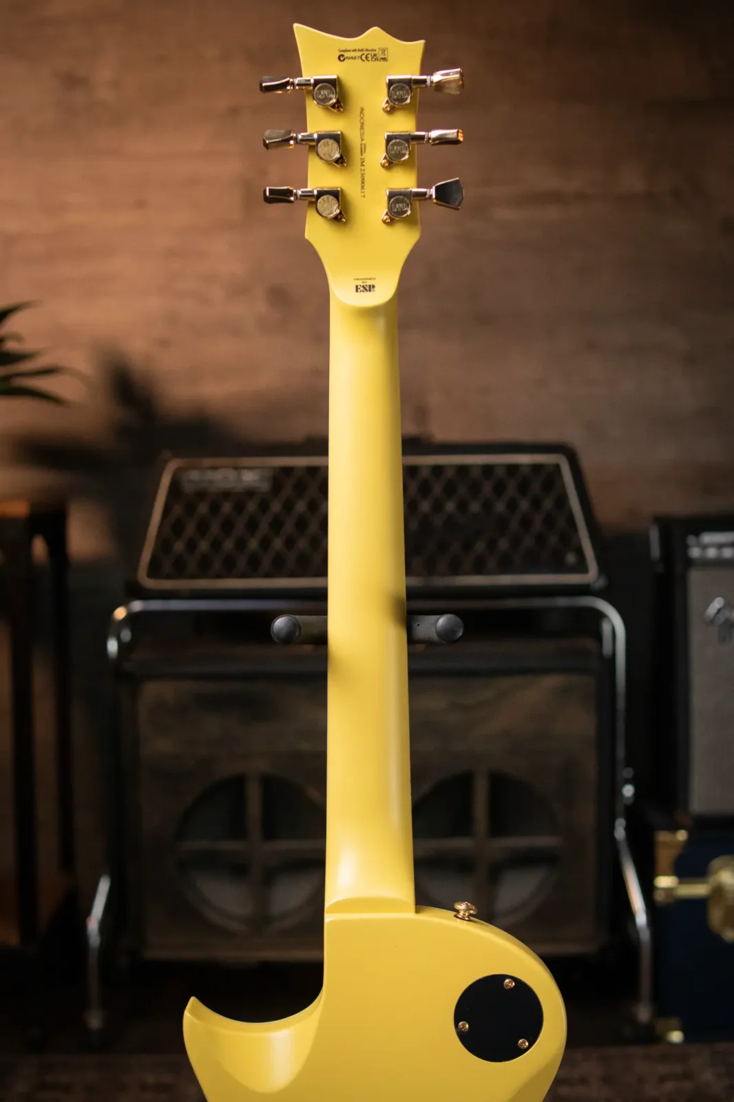 Amazon.com: ESP LTD Eclipse EC-256 Electric Guitar - Vintage