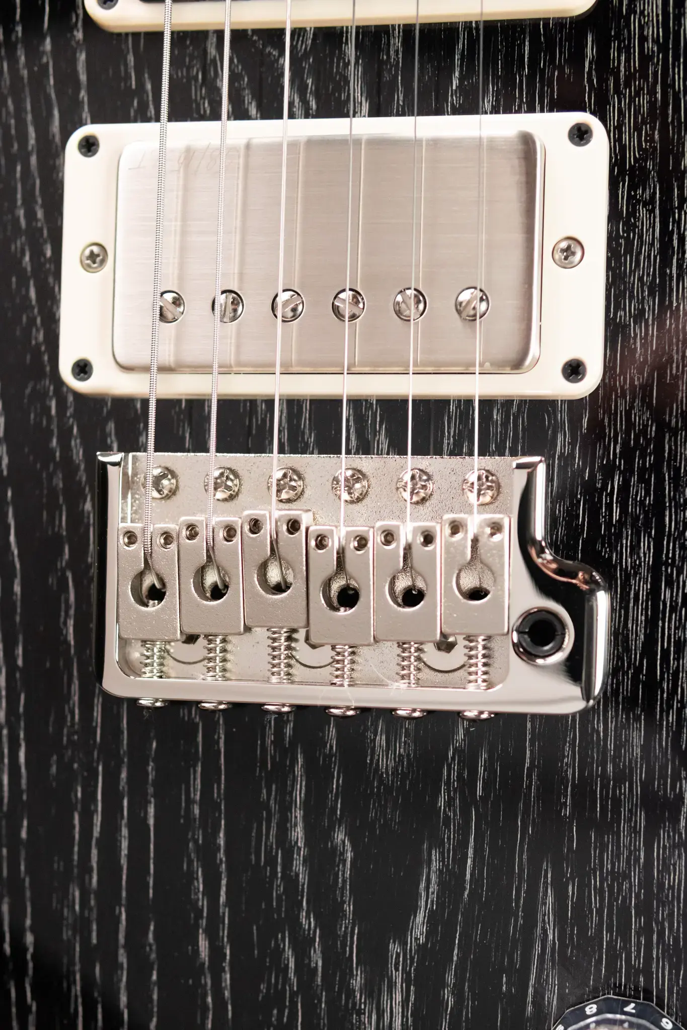 PRS Swamp Ash Special Guitar, Rosewood Fretboard - Black Doghair