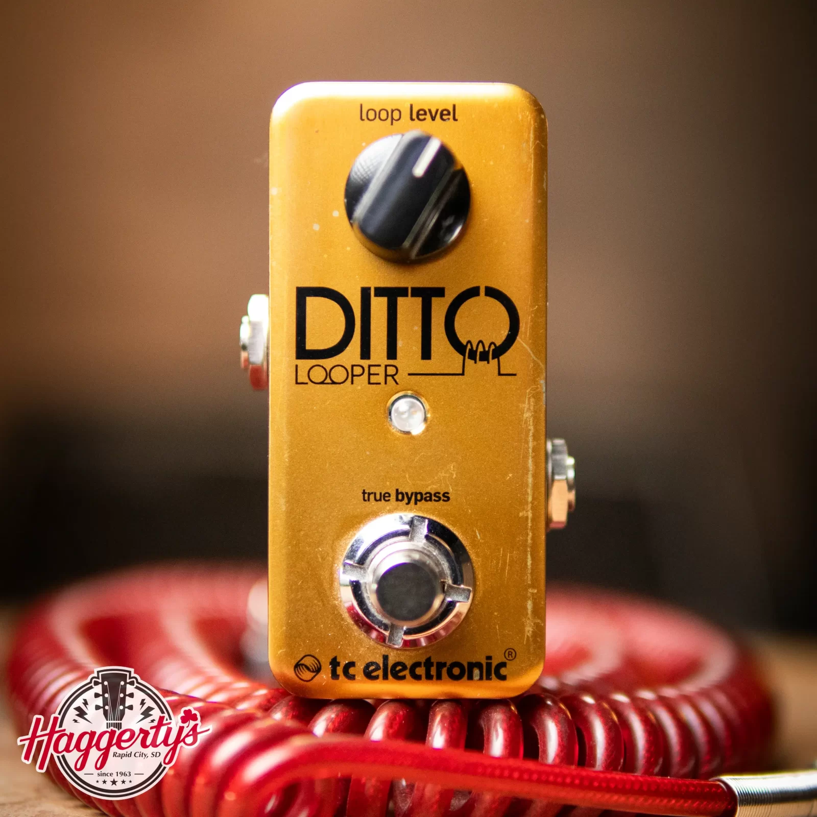 ギター tc electronic DITTO LOOPER Gold Limited TC Electronic DITTO LOOPER Gold Limited