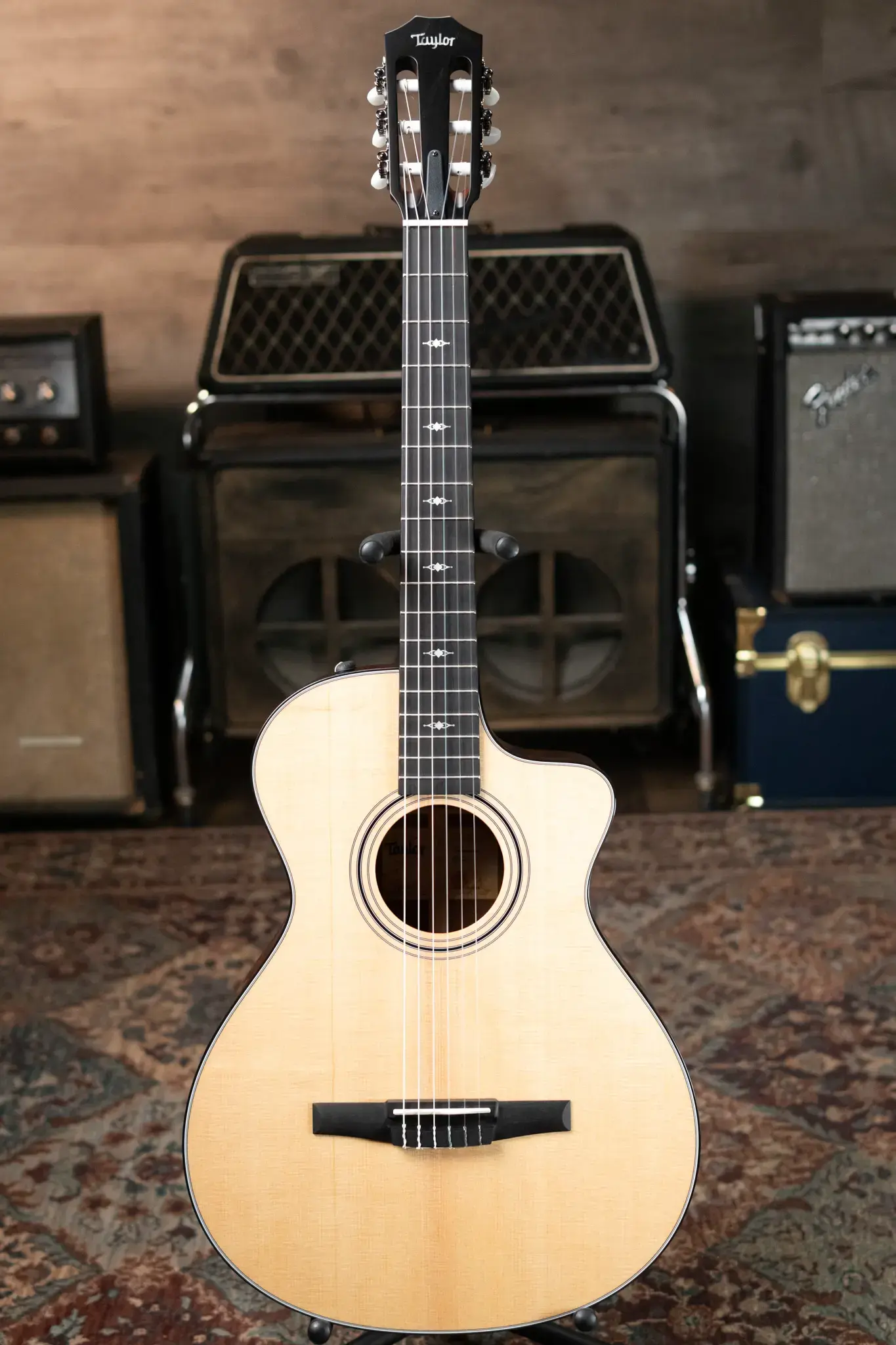 Taylor 312ce-N Nylon Grand Concert Acoustic/Electric with