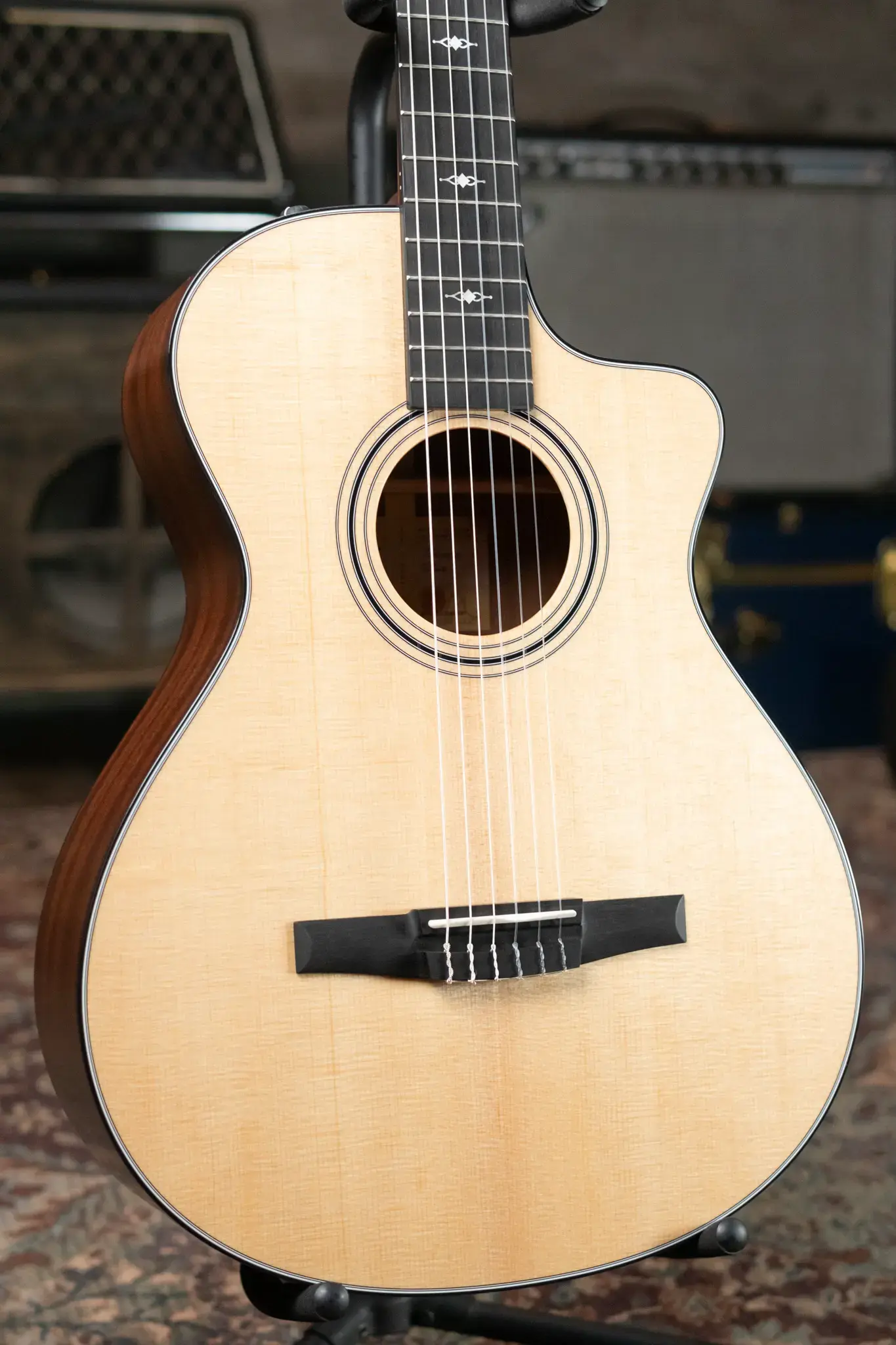 セレッティ　パレス Taylor_312ce_N_Nylon_Grand_Con