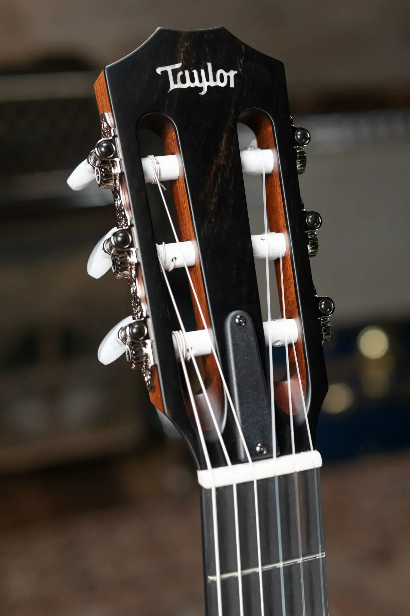 Taylor 312ce-N Nylon Grand Concert Acoustic/Electric with