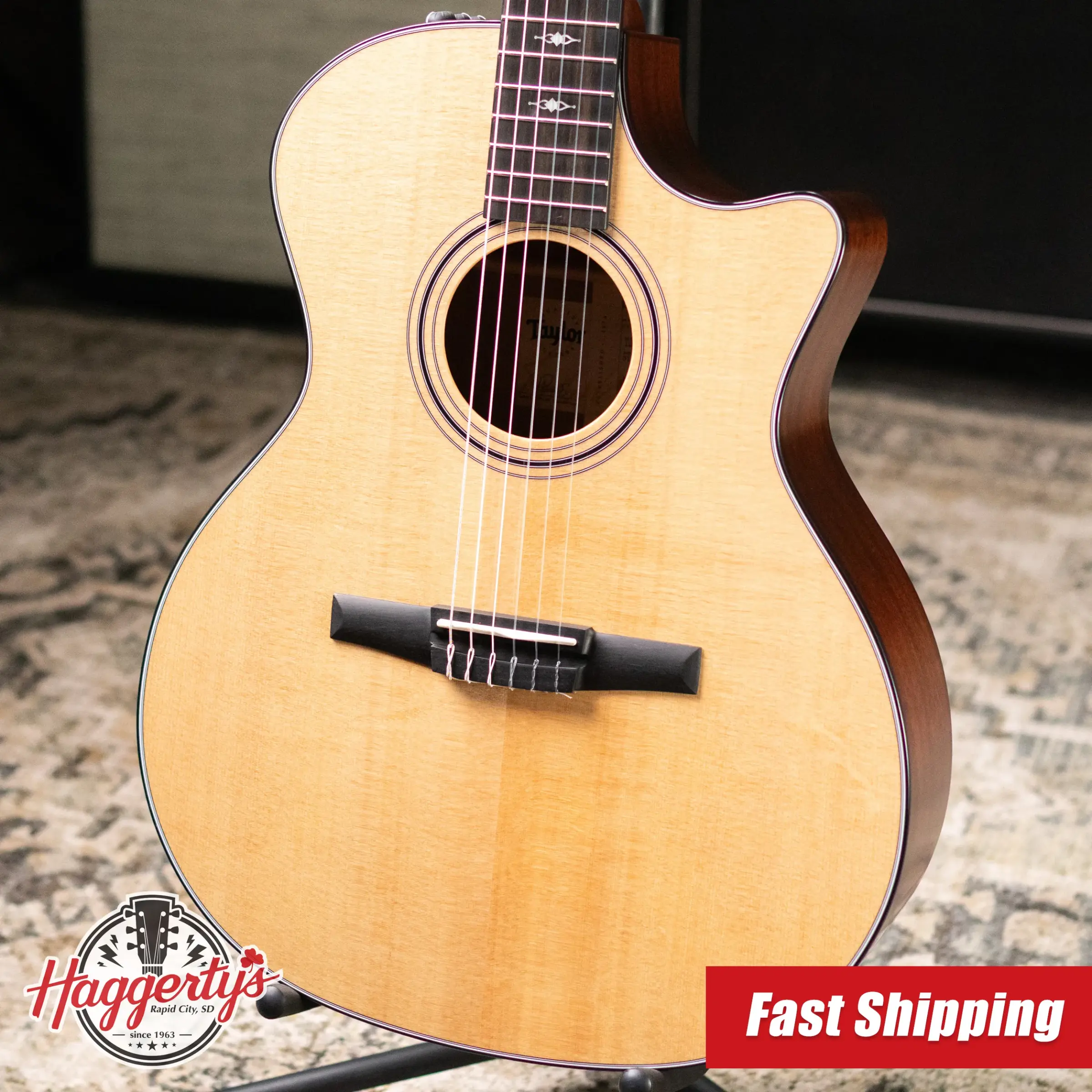 Taylor 314ce-N Grand Auditorium Nylon Acoustic/Electric Guitar with Hardshell Case