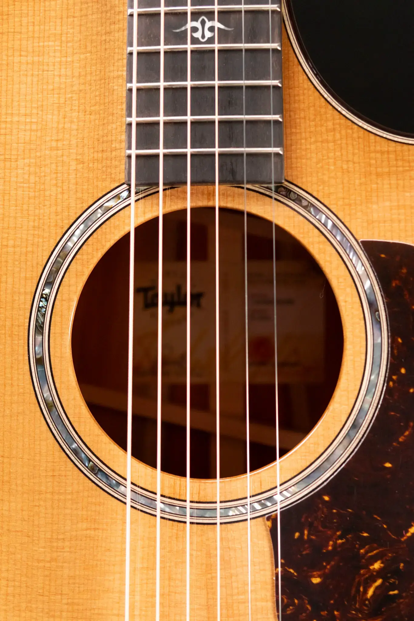 希少 mayfair TESCO Full Acoustic Model　レア Taylor 512ce Grand Concert Acoustic/Electric Guitar with Hardshell