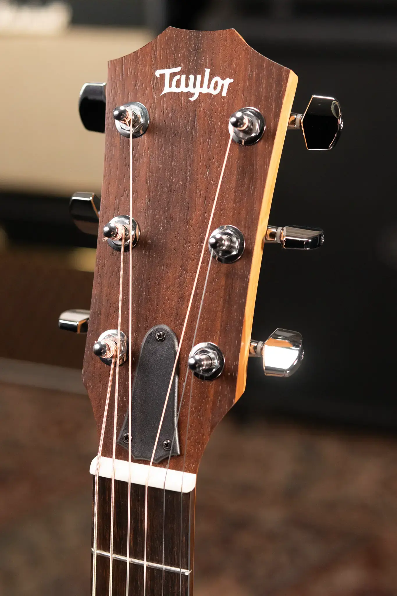 Taylor Academy10 22年製 Amazon.com: Taylor Academy 10 Acoustic Guitar - Natural