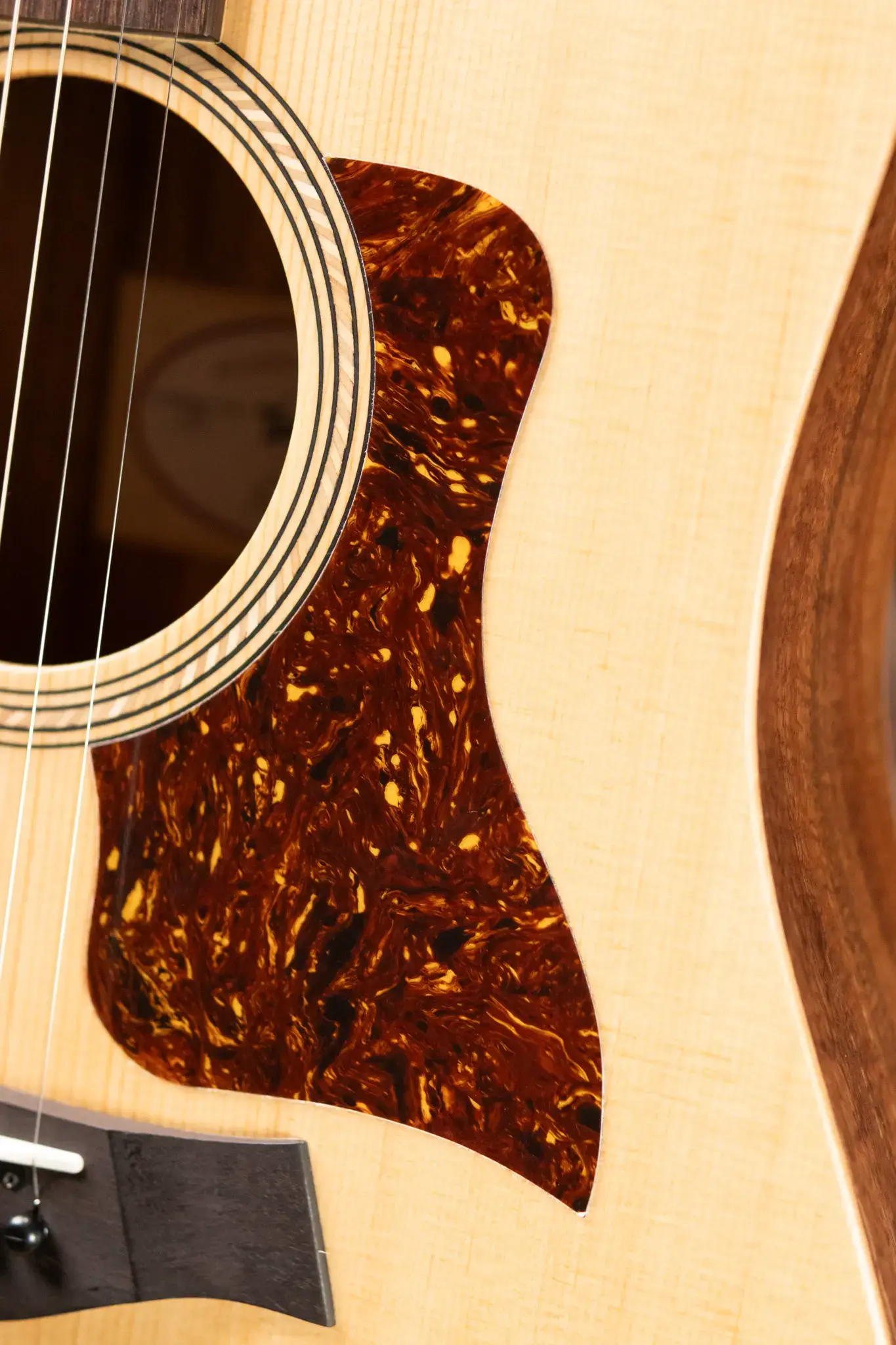 Taylor academy10e 美品 Taylor Limited Edition Academy 10e Figured Koa Acoustic
