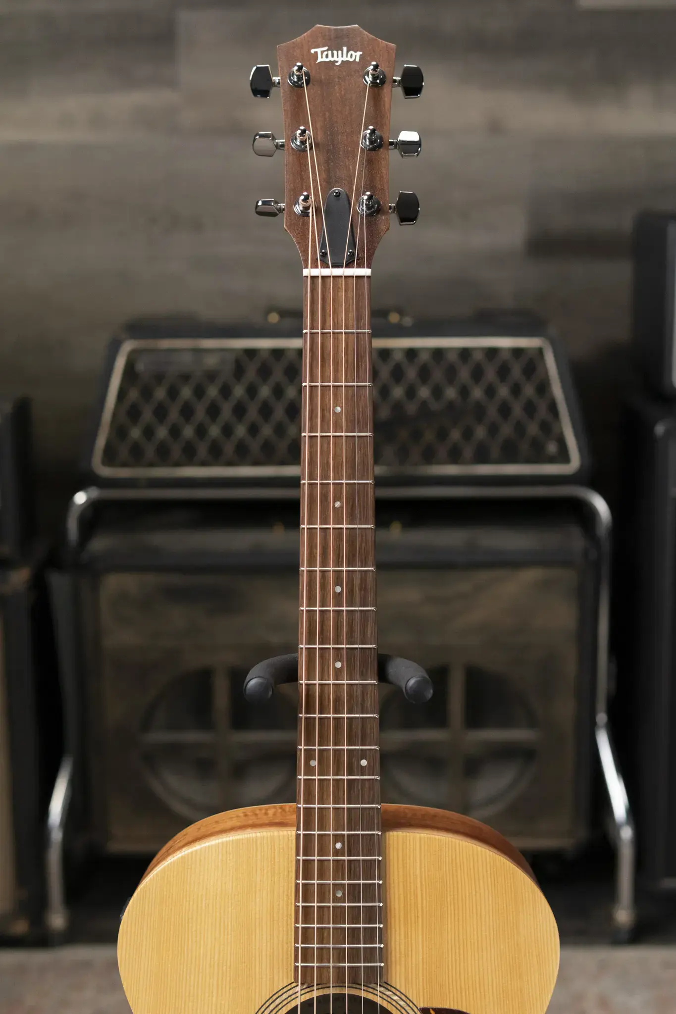 エレアコギター・エレガットギター】-Taylor- サステナブルな