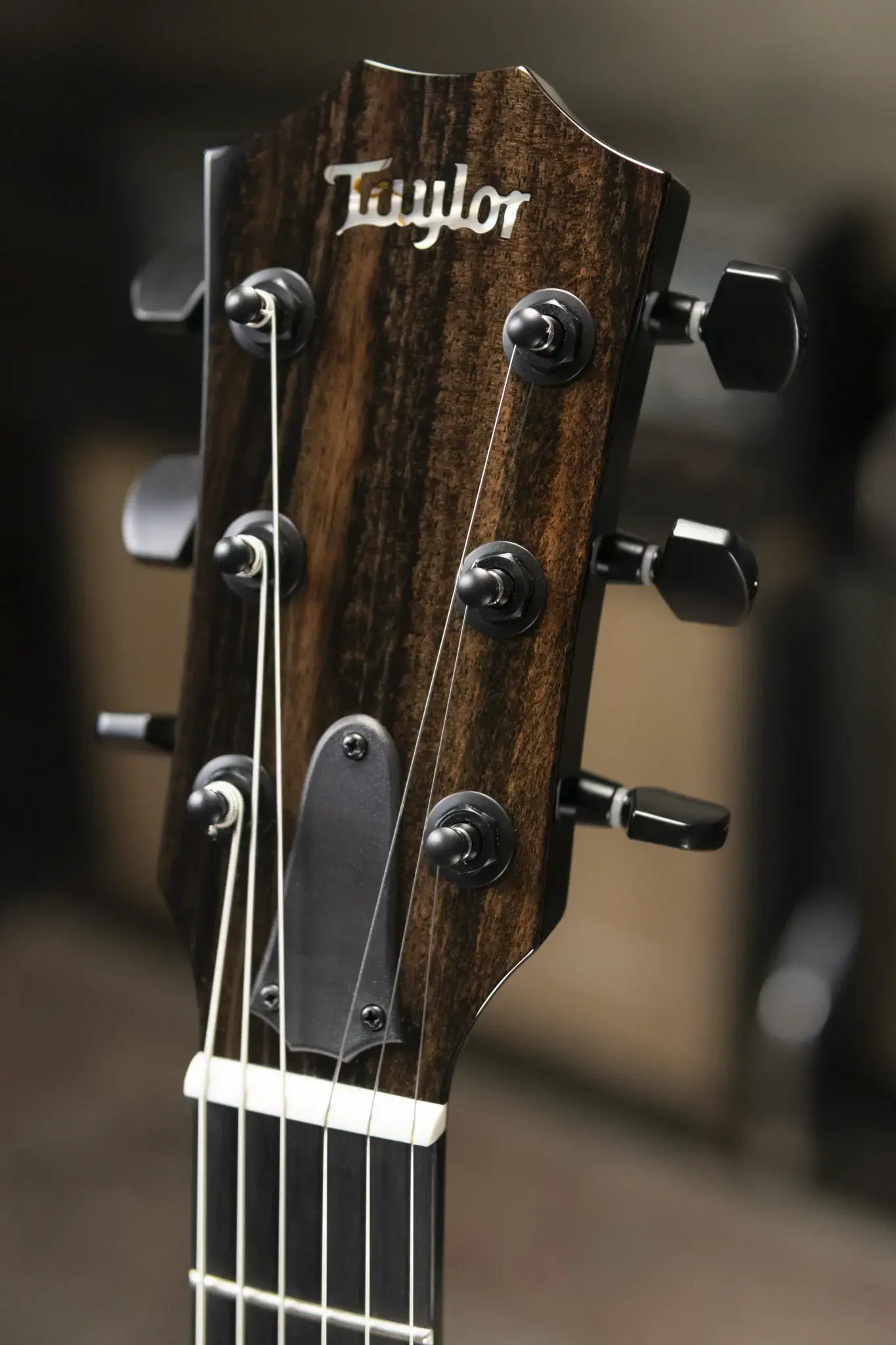 ギター DeliciousTaylormade  PhoneBookGreatTiger Taylor Custom Shop T5z 2025 Catch Event #15 Electric Guitar