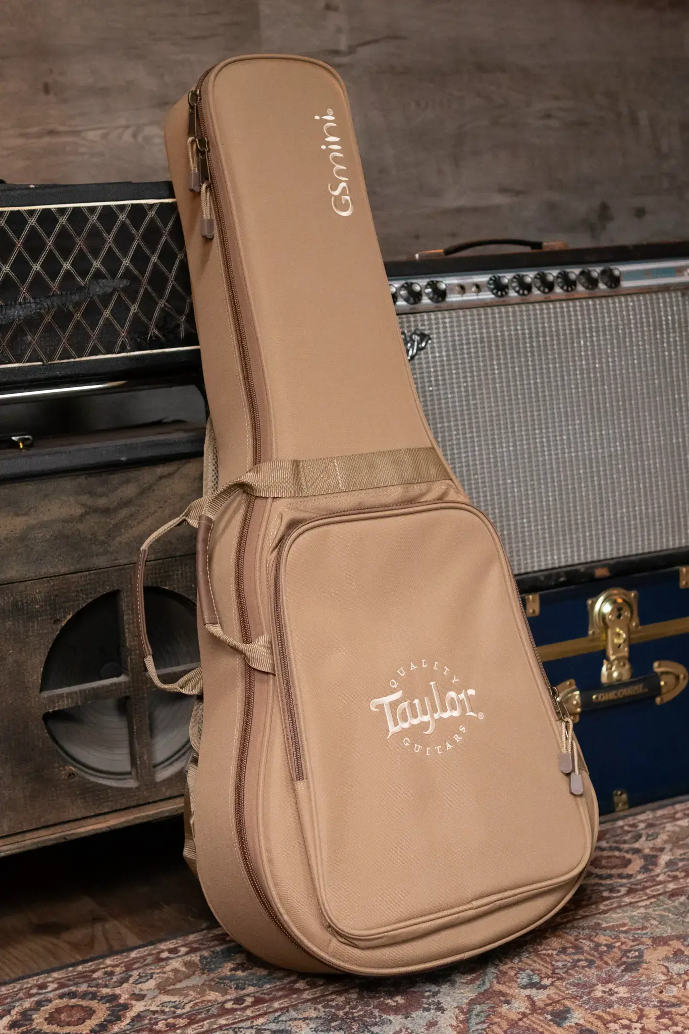 ミント　ベージュ　４本セット Taylor GS MIni-e Special Edition Acoustic/Electric