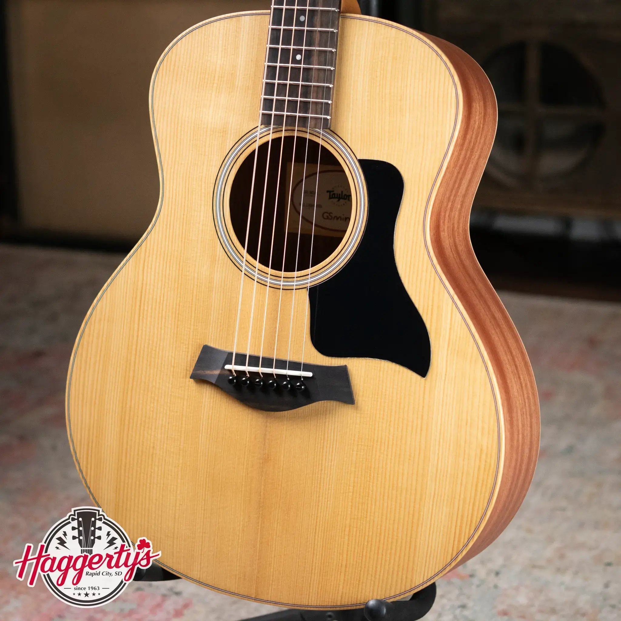 Taylor GS-MINI マホガニー アコースティックギター 純正ケース付属 Taylor テイラー GS Mini Maho ミニアコースティックギター 送料