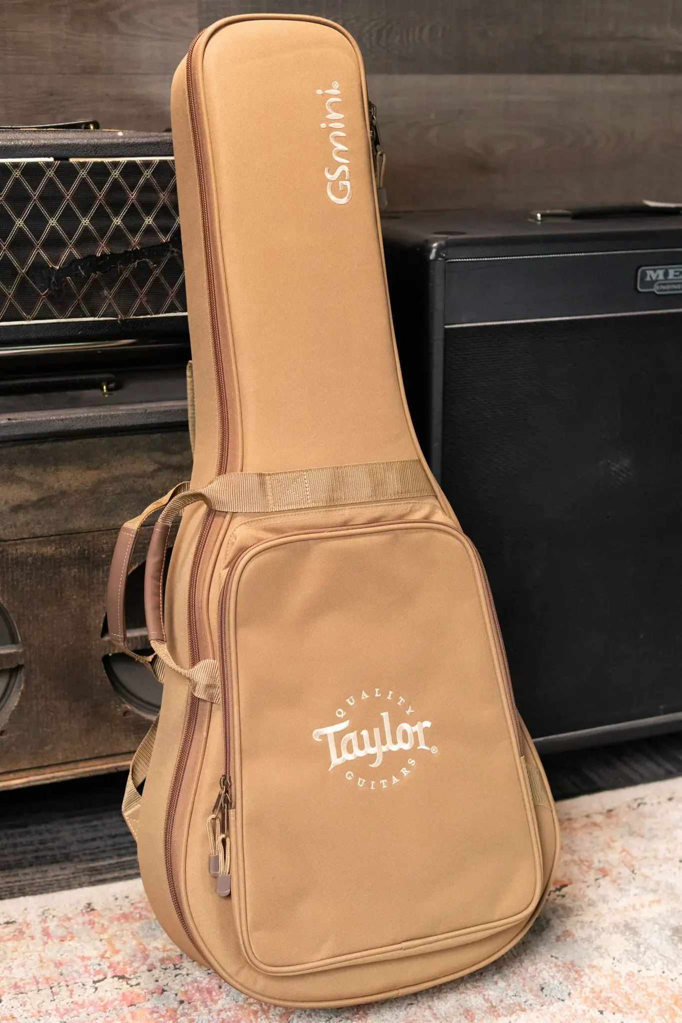 Taylor GS Mini-e Special Edition Acoustic/Electric Guitar - Blue