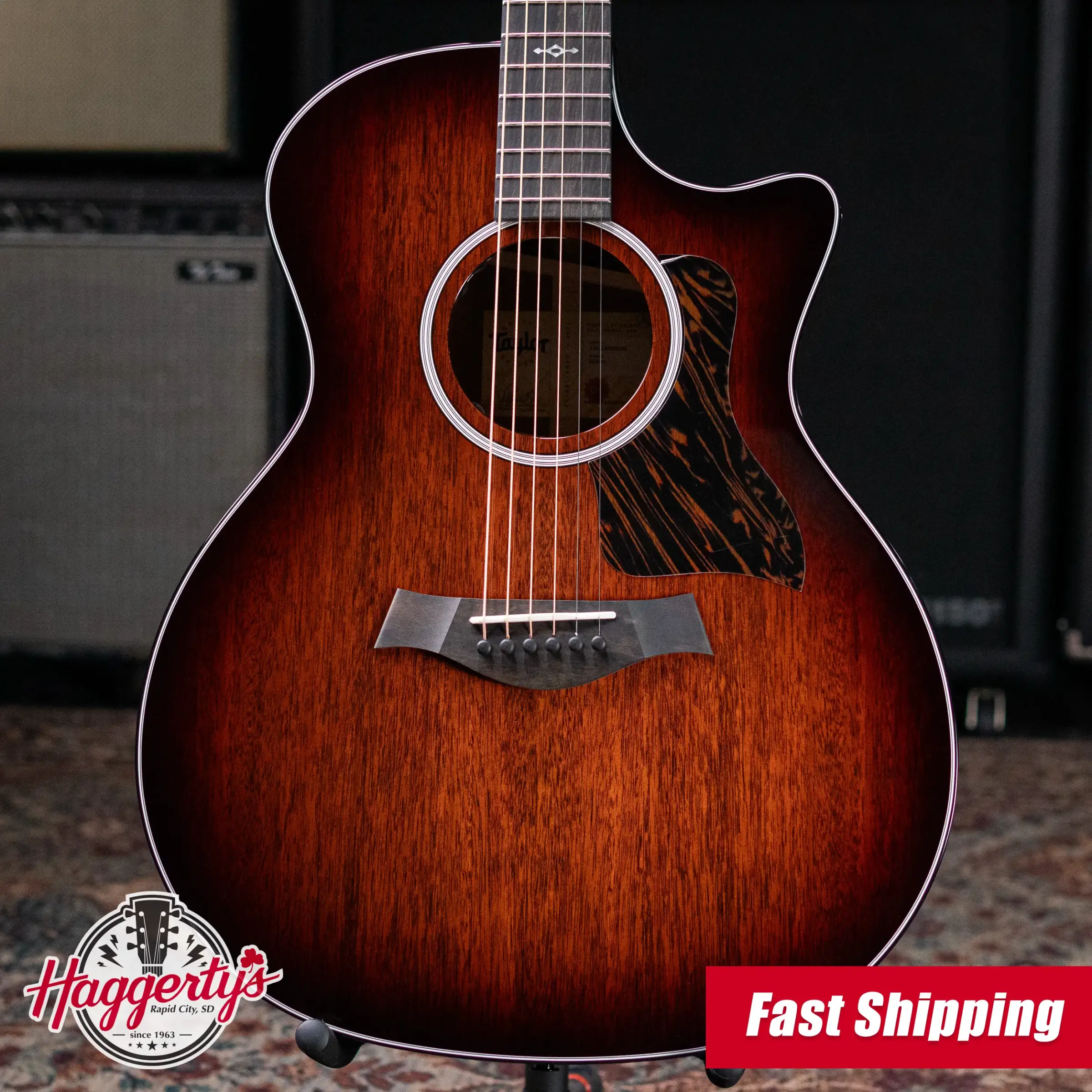 Taylor Next Generation 324ce Grand Auditorium Acoustic/Electric Guitar with Hardshell Case - Factory Demo