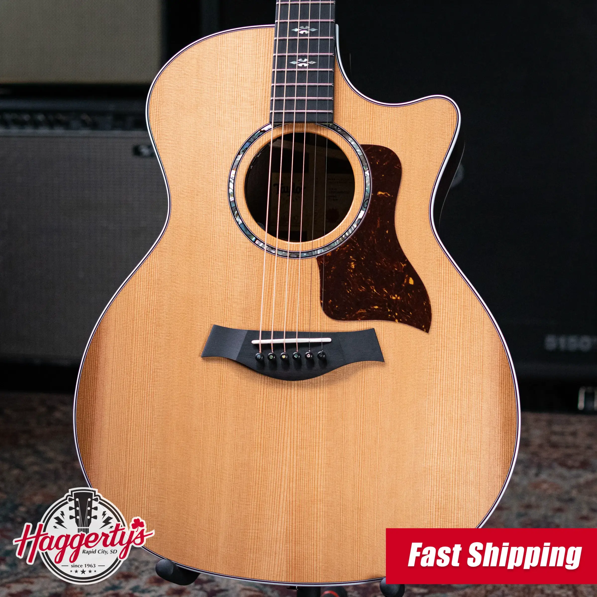 Taylor Next Generation 714ce Grand Auditorium Acoustic/Electric Guitar with Hardshell Case