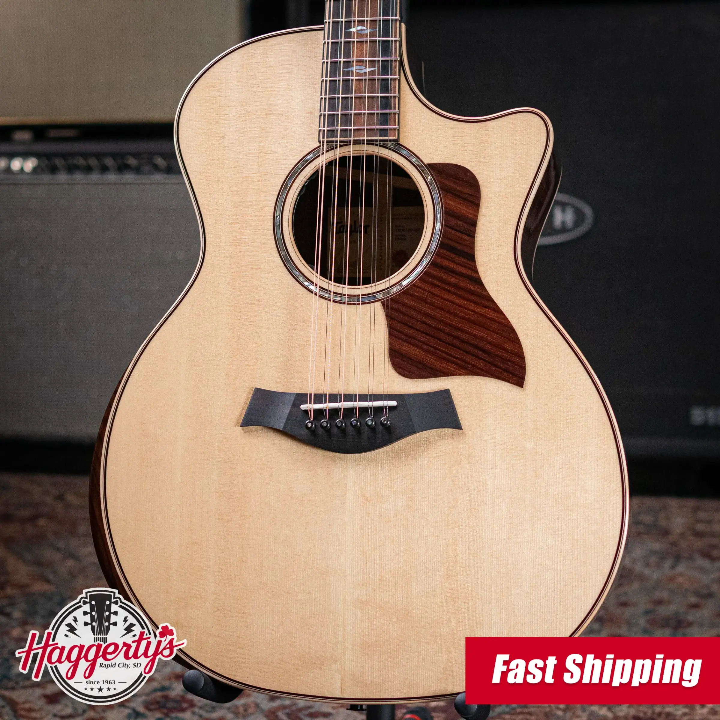 Taylor Next Generation 854ce 12-String Grand Auditorium Acoustic/Electric Guitar with Hardshell Case
