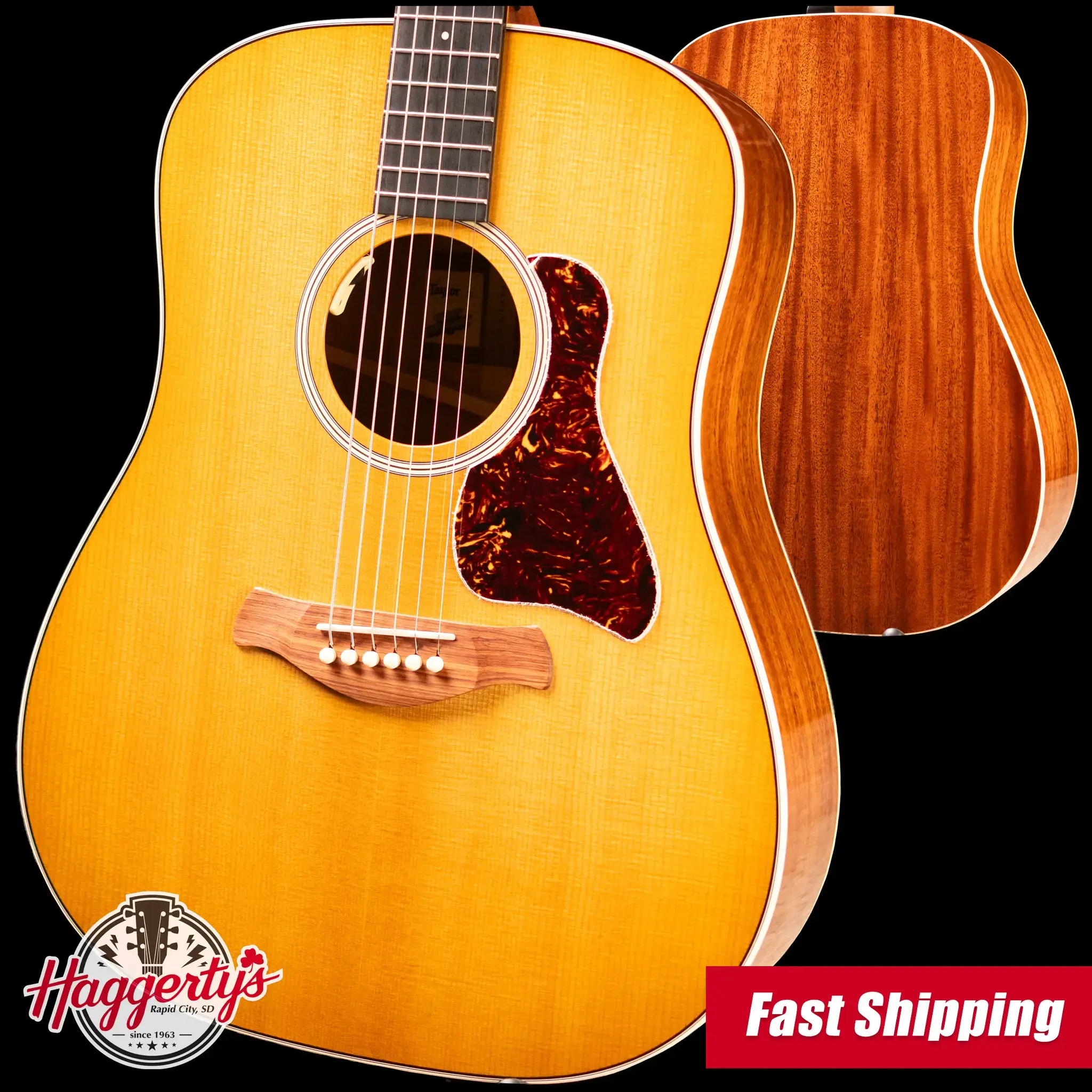 Taylor Trey Hensley Signature Gold Label 510e Dreadnought Acoustic/Electric Guitar with Hardshell Case