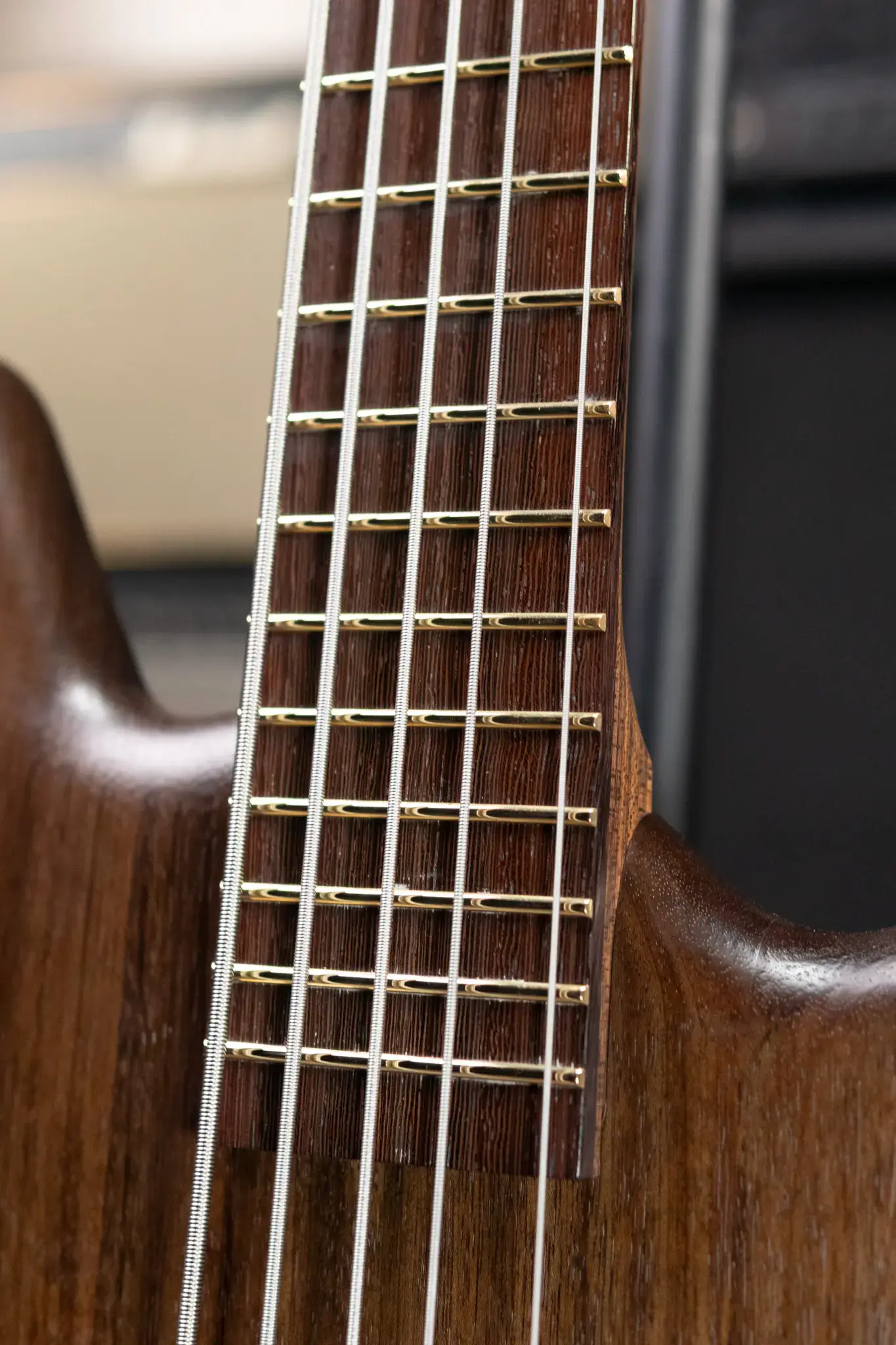 Warwick Pro Series Thumb BO 5-String Bass - Nirvana Black