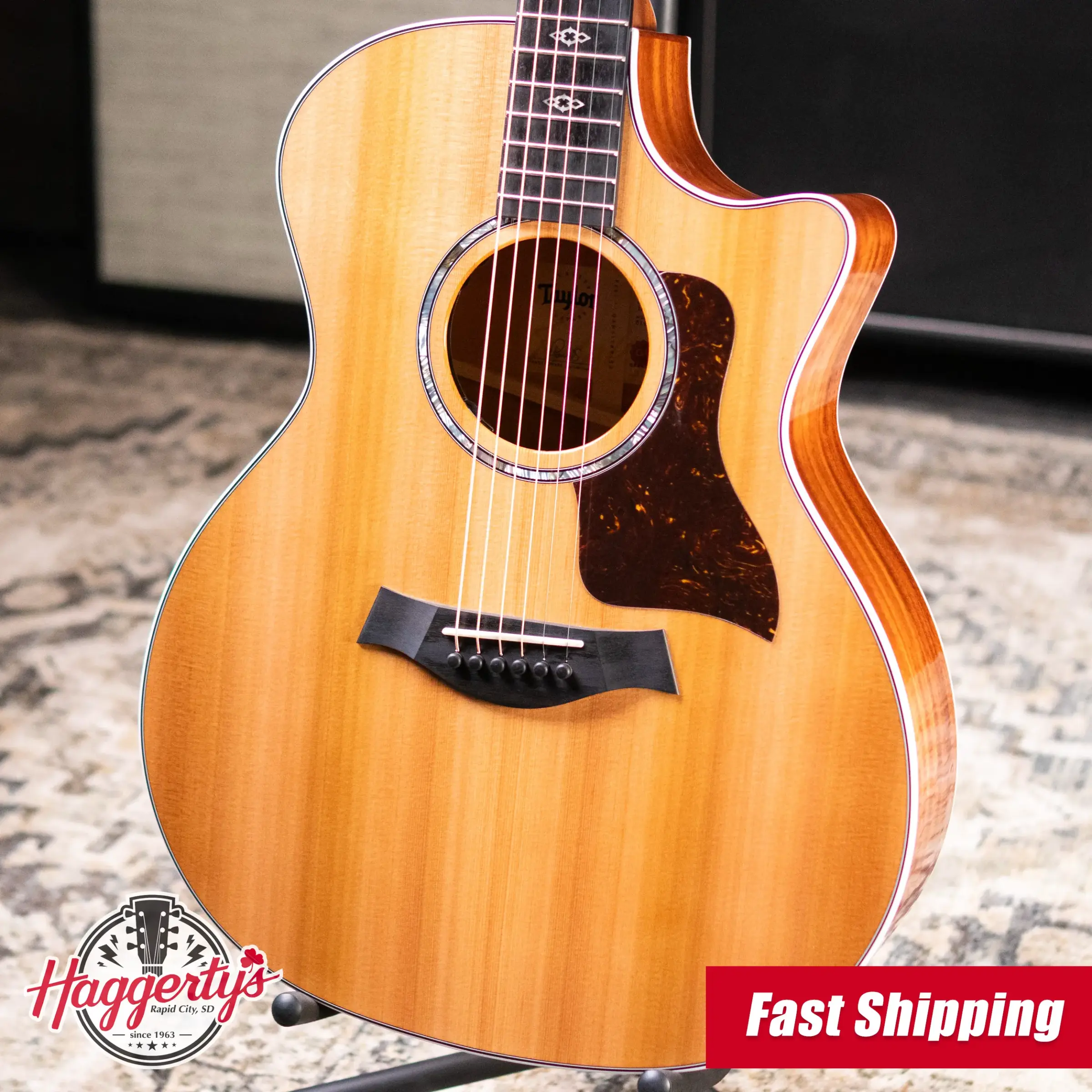 Taylor Next Generation 514ce Grand Auditorium Acoustic/Electric Guitar with Hardshell Case