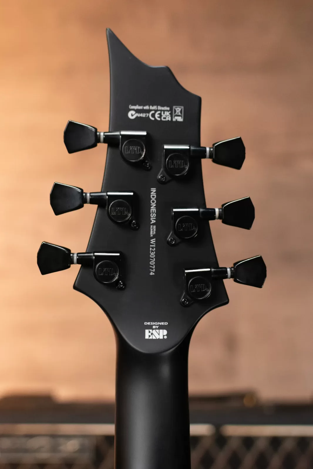 ESP LTD Nergal HEX-200 Signature Electric Guitar - Black