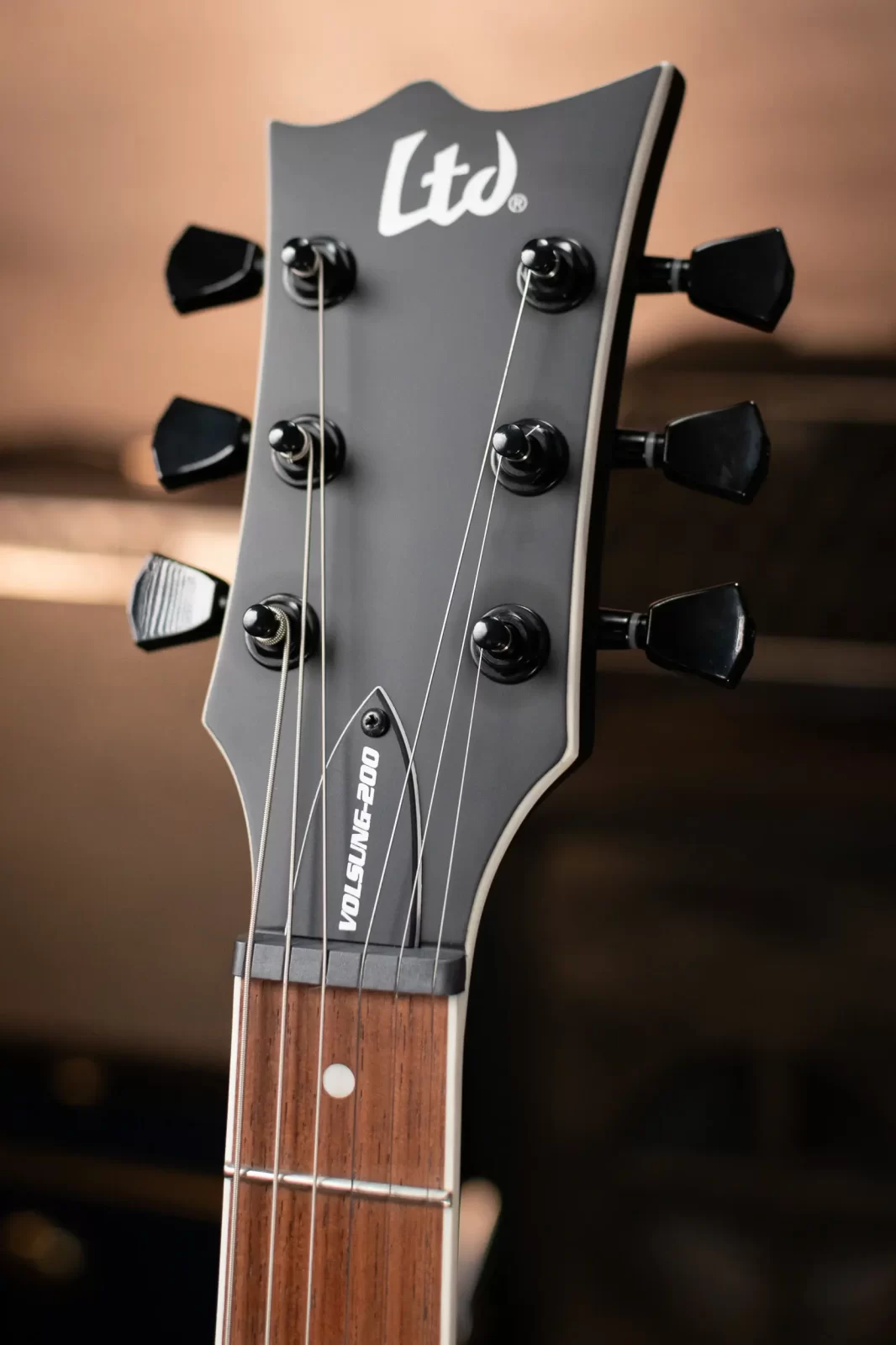 ESP LTD VOLSUNG-200 | Black Satin Finish 🤘 | Ethan Benson
