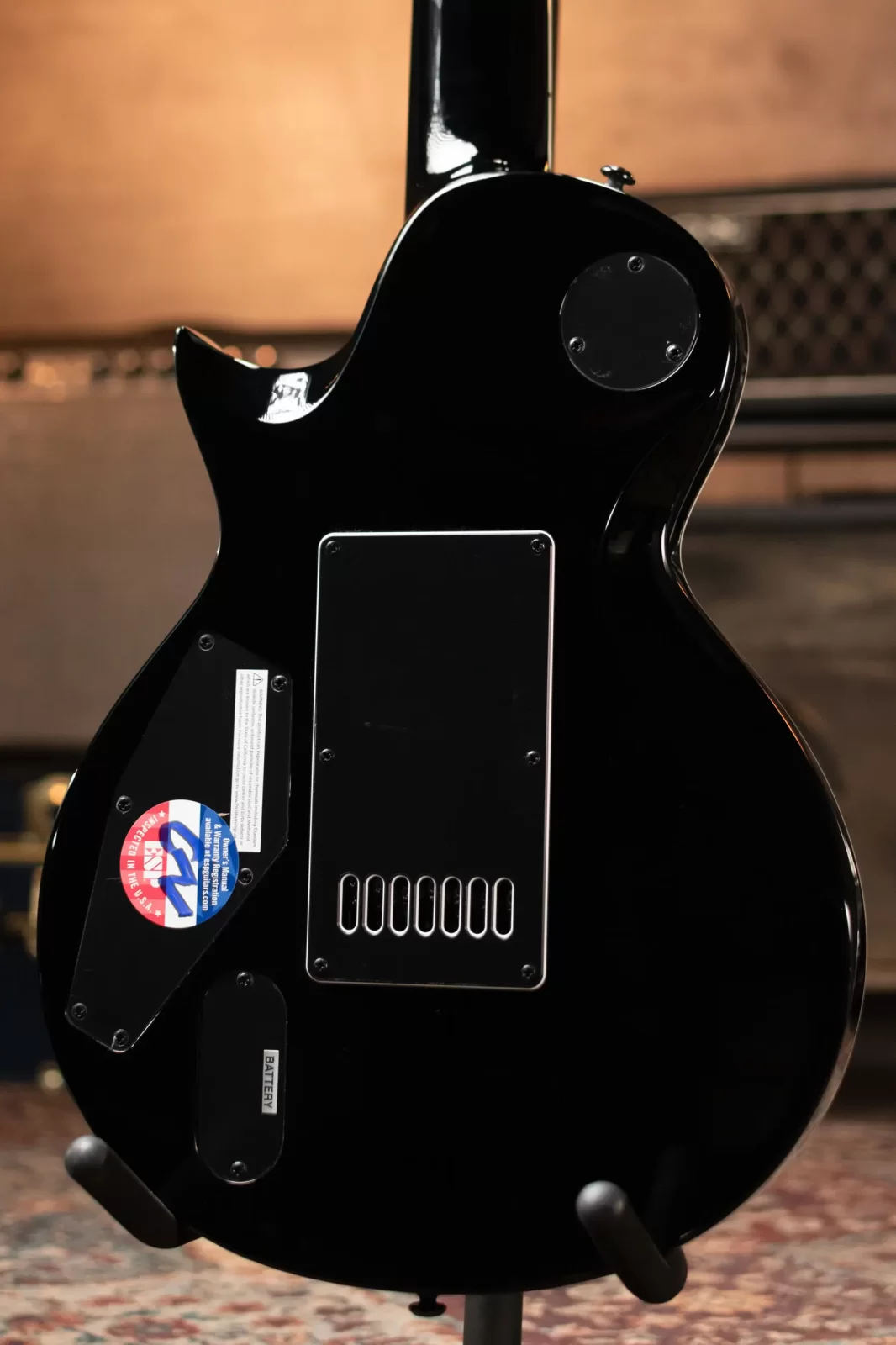 エボリューション•エッグ　ブラックゾーン　各4枚 ESP LTD EC-1007B Evertune Baritone 7-String Electric Guitar