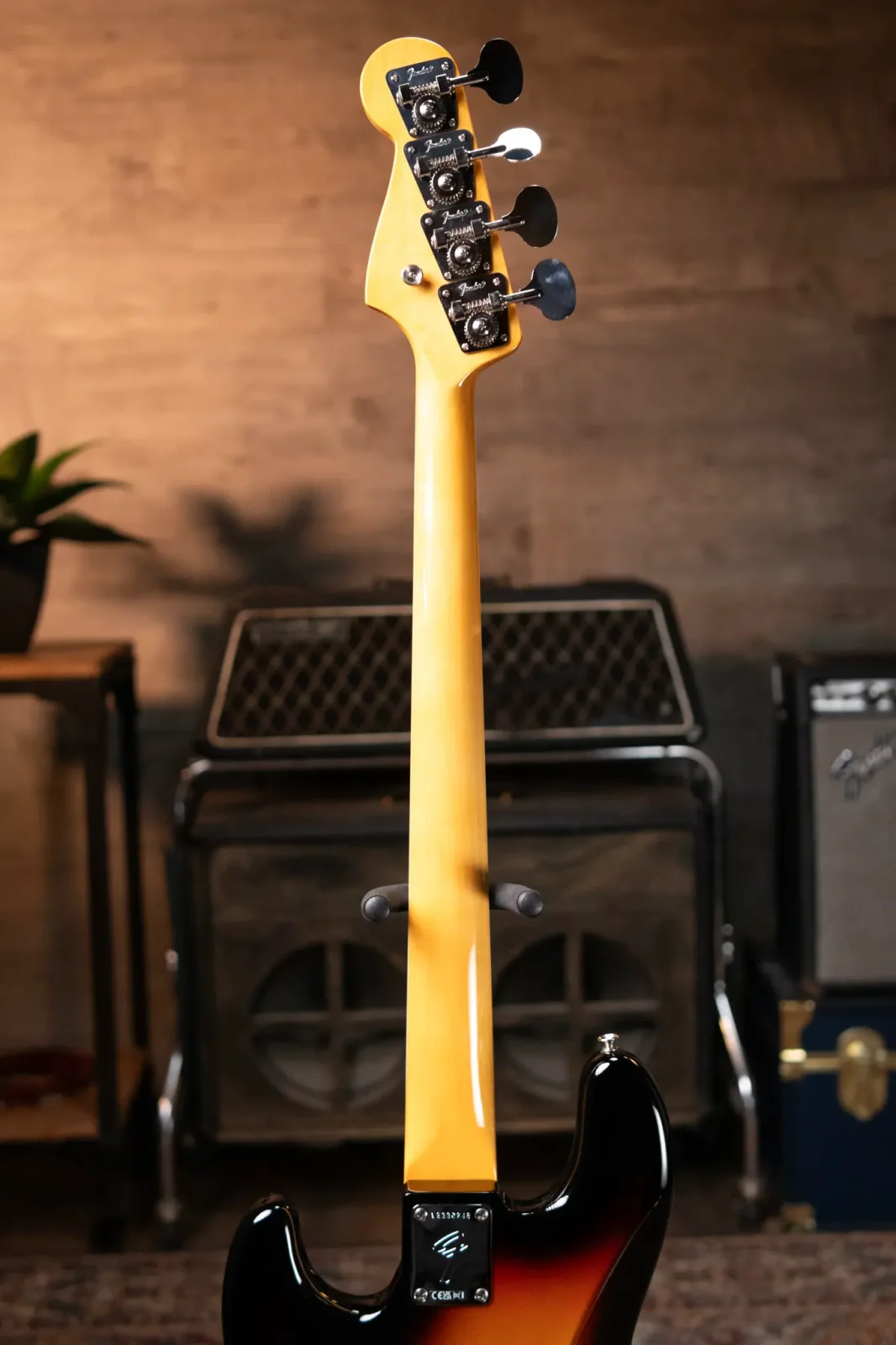 new_9_2_lbs_Fender_American_Vi